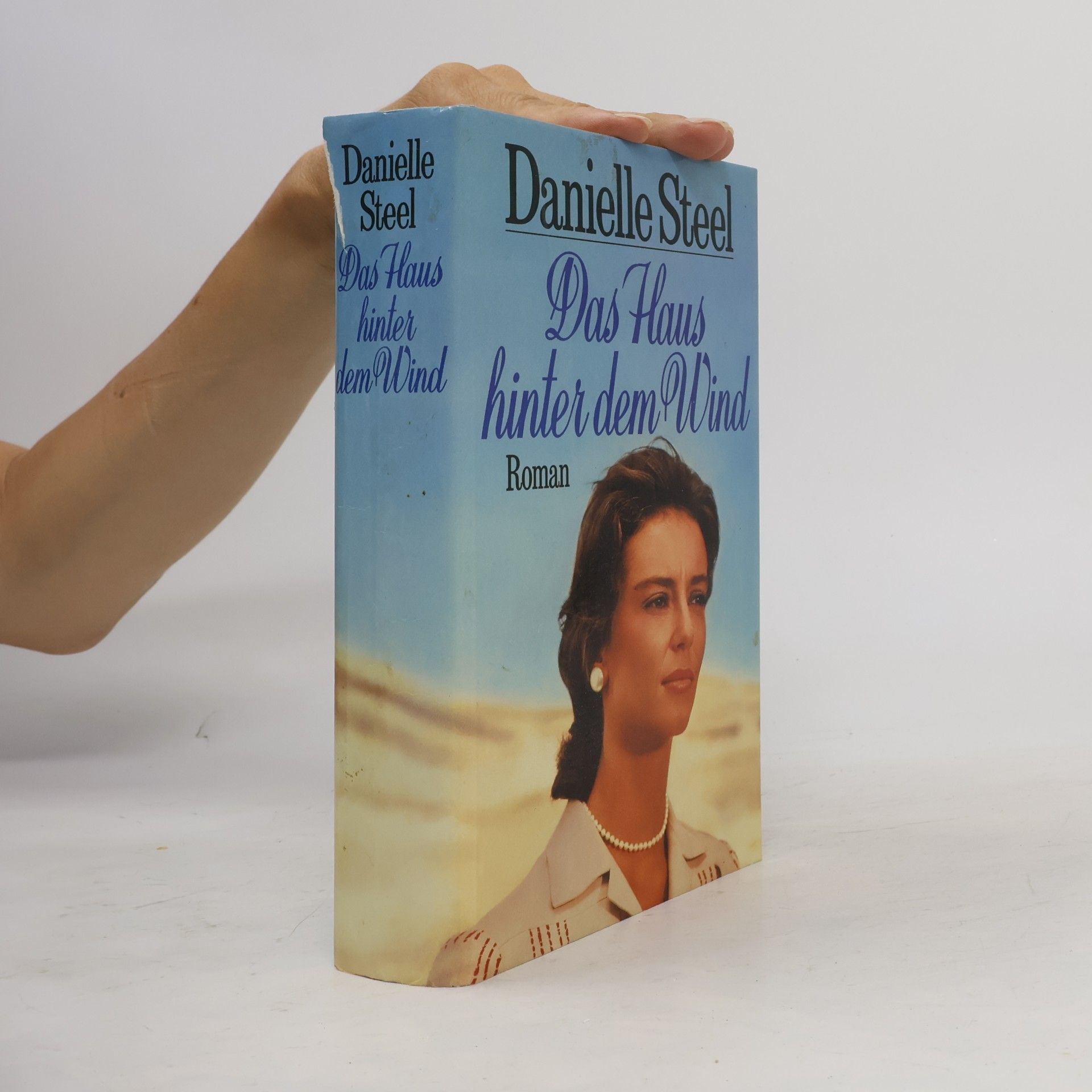 Danielle Steel Das Haus hinter dem Wind