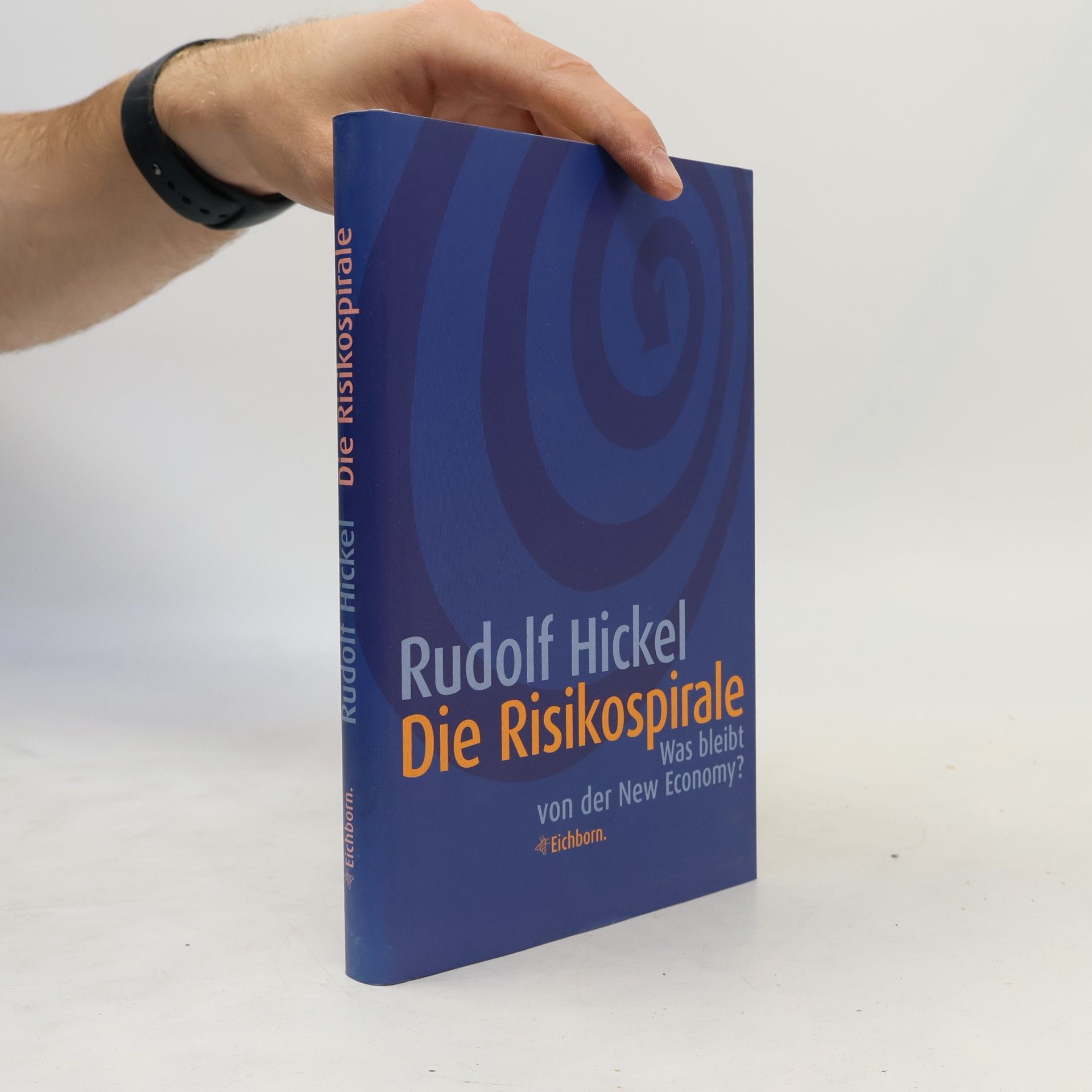 Rudolf Hickel Die Risikospirale