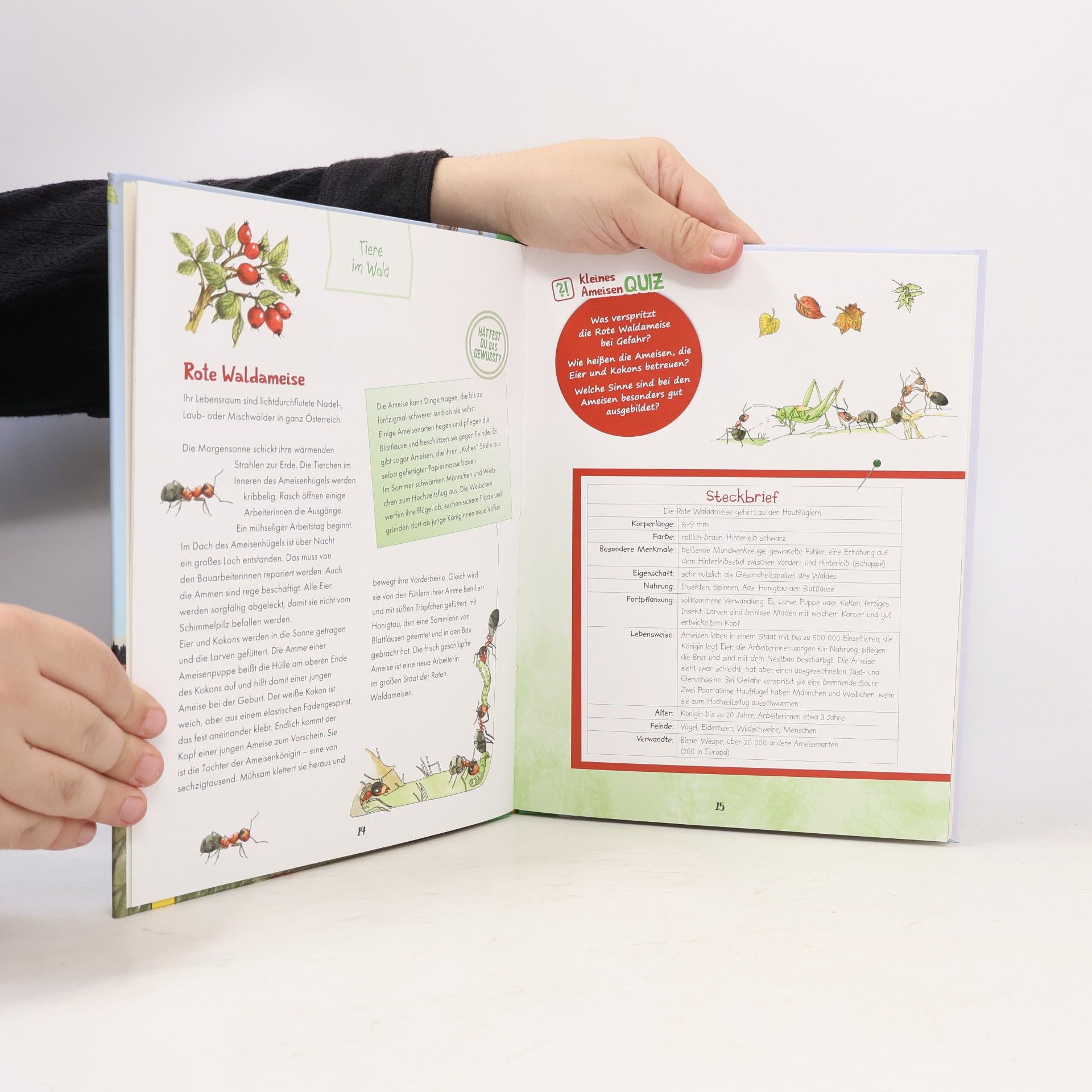 Christine Rettl Mein großes Tierbuch aus Österreich