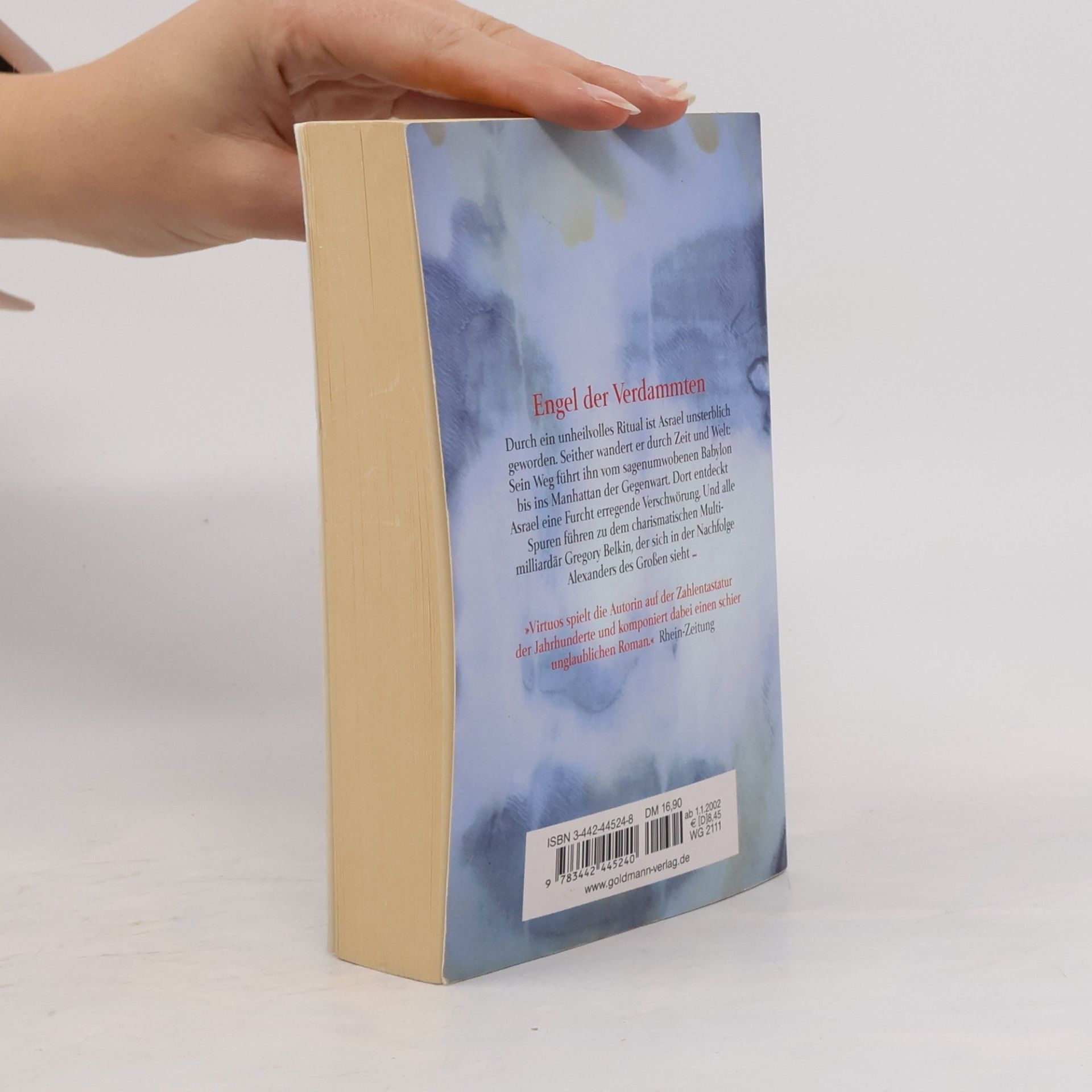 Anne Rice Engel der Verdammten