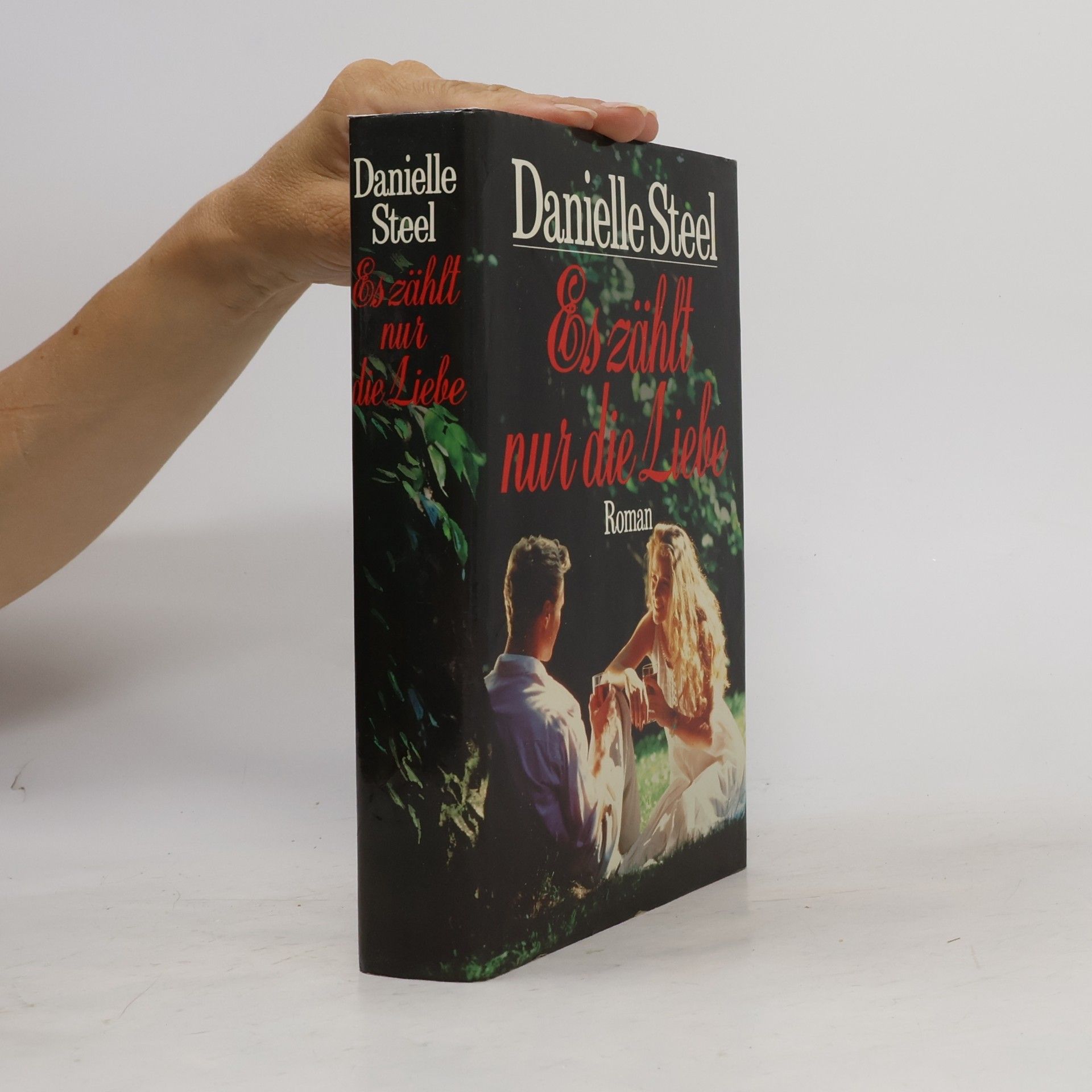 Danielle Steel Es zählt nur die Liebe