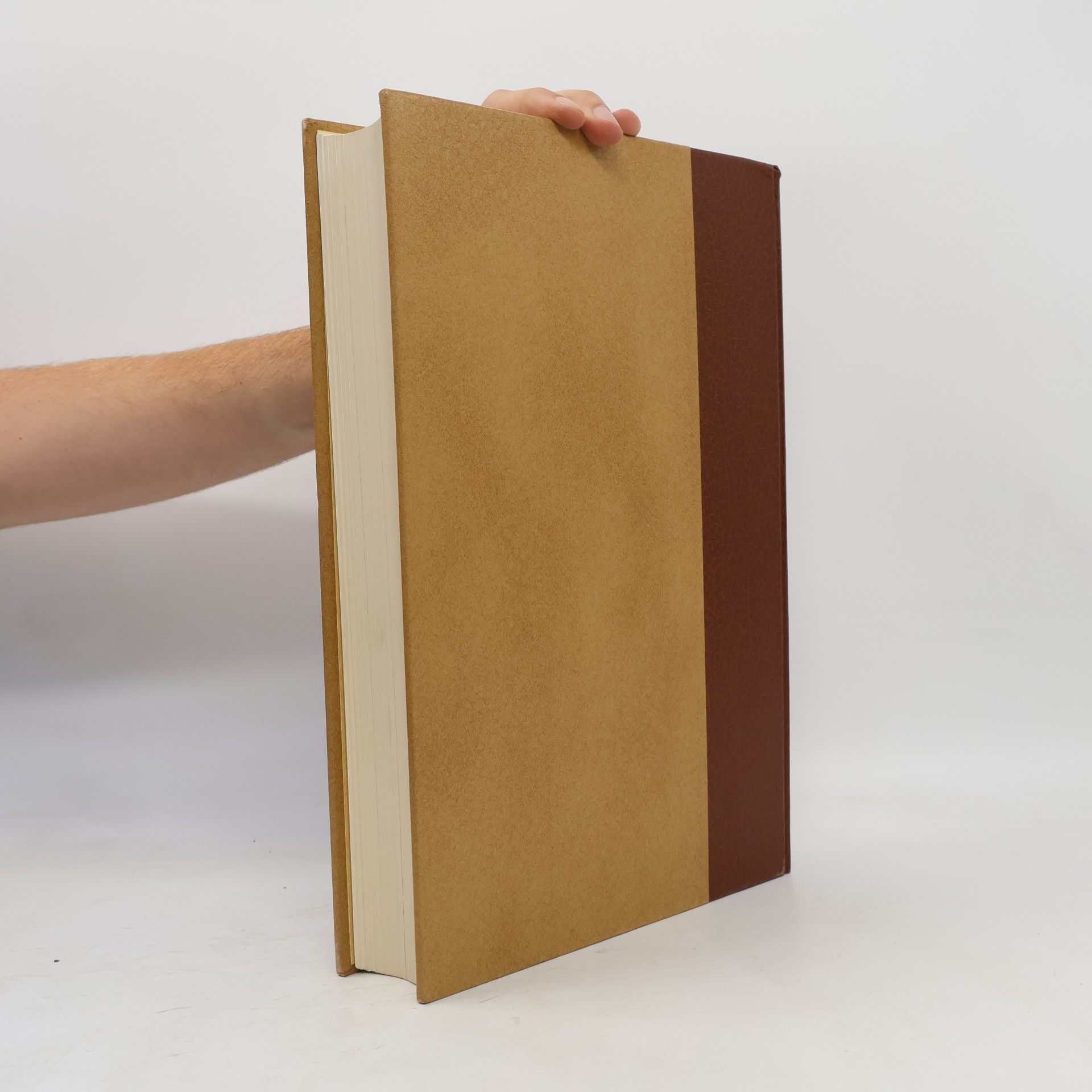 Various authors Enciclopedia Motta XIII.