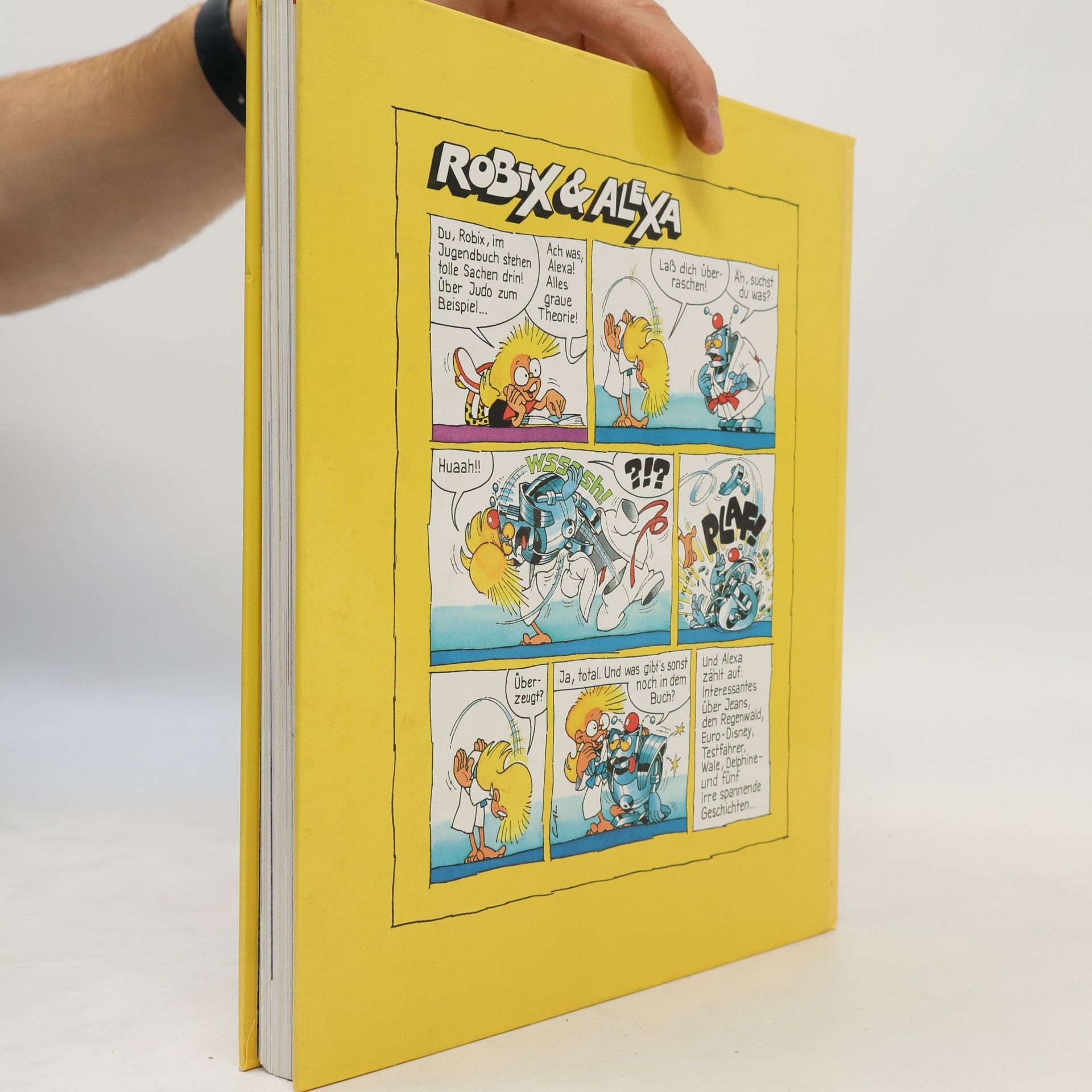 kolektiv Das grosse Jugendbuch