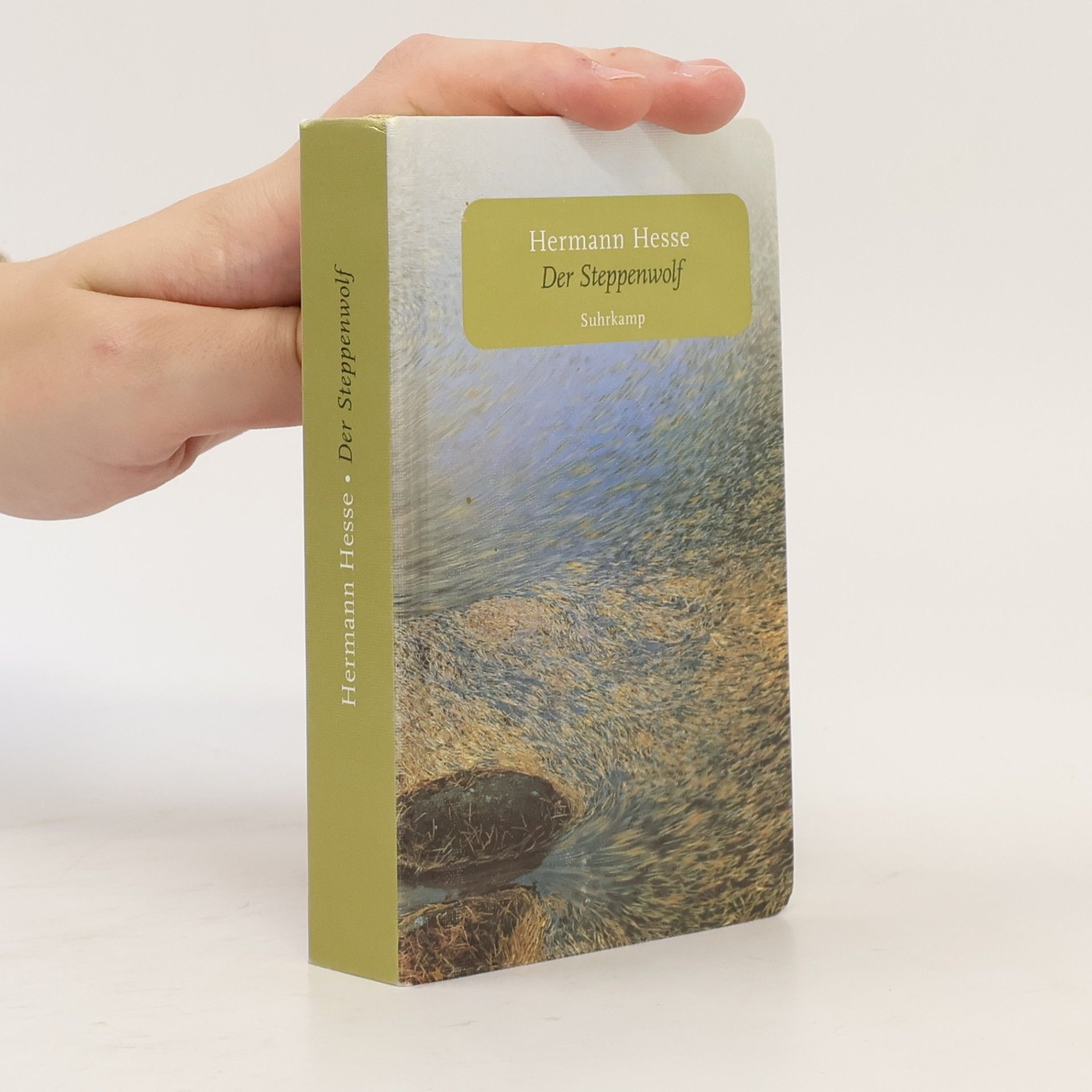 Hermann Hesse Der Steppenwolf