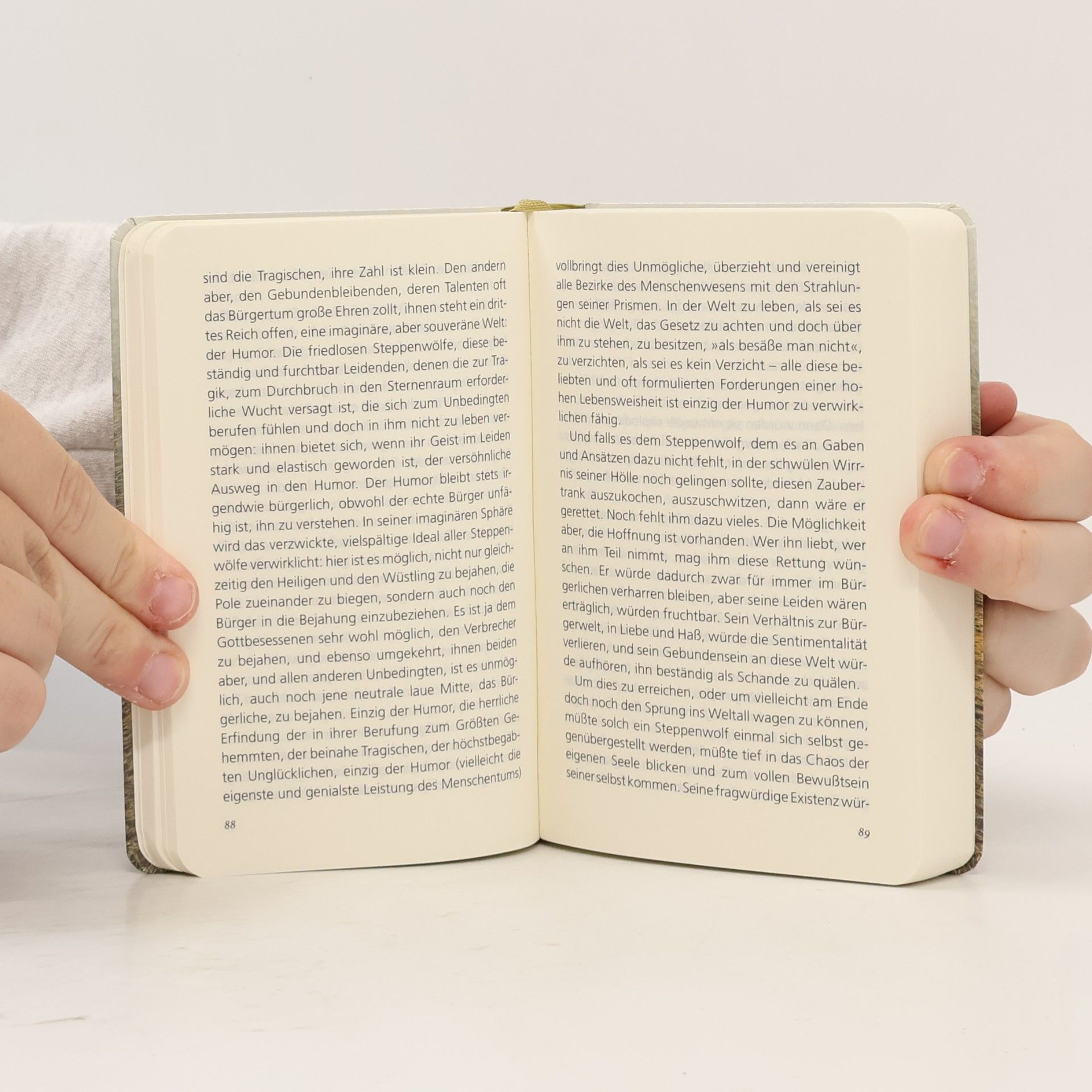 Hermann Hesse Der Steppenwolf