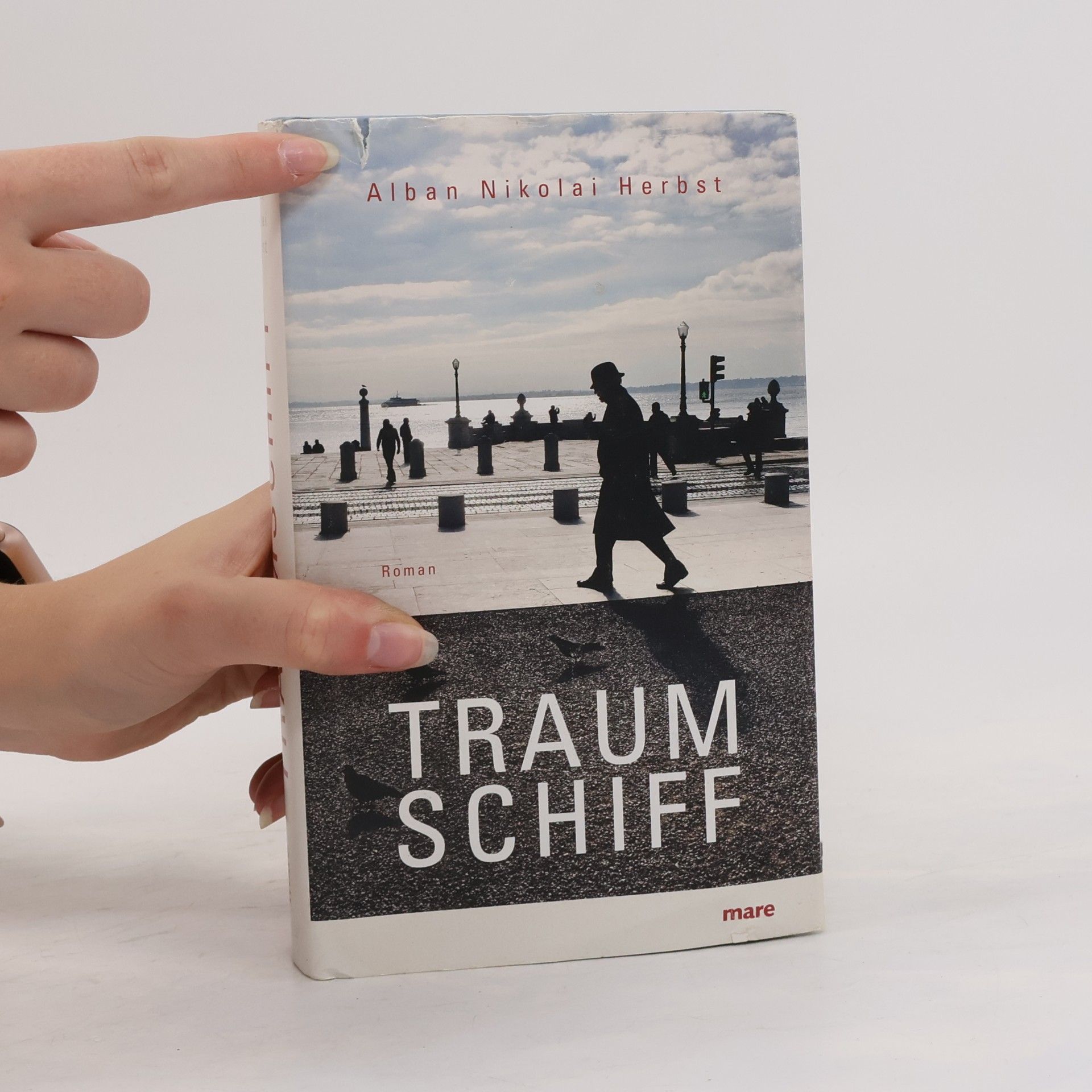 Alban Nikolai Herbst Traumschiff