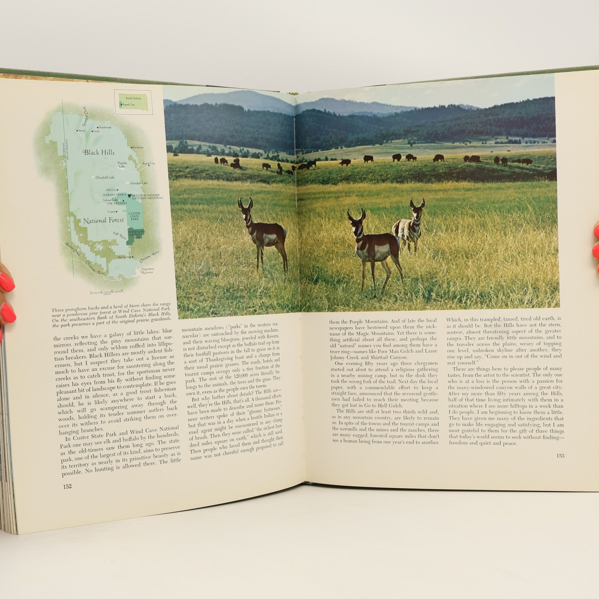 Various authors America The Beautiful