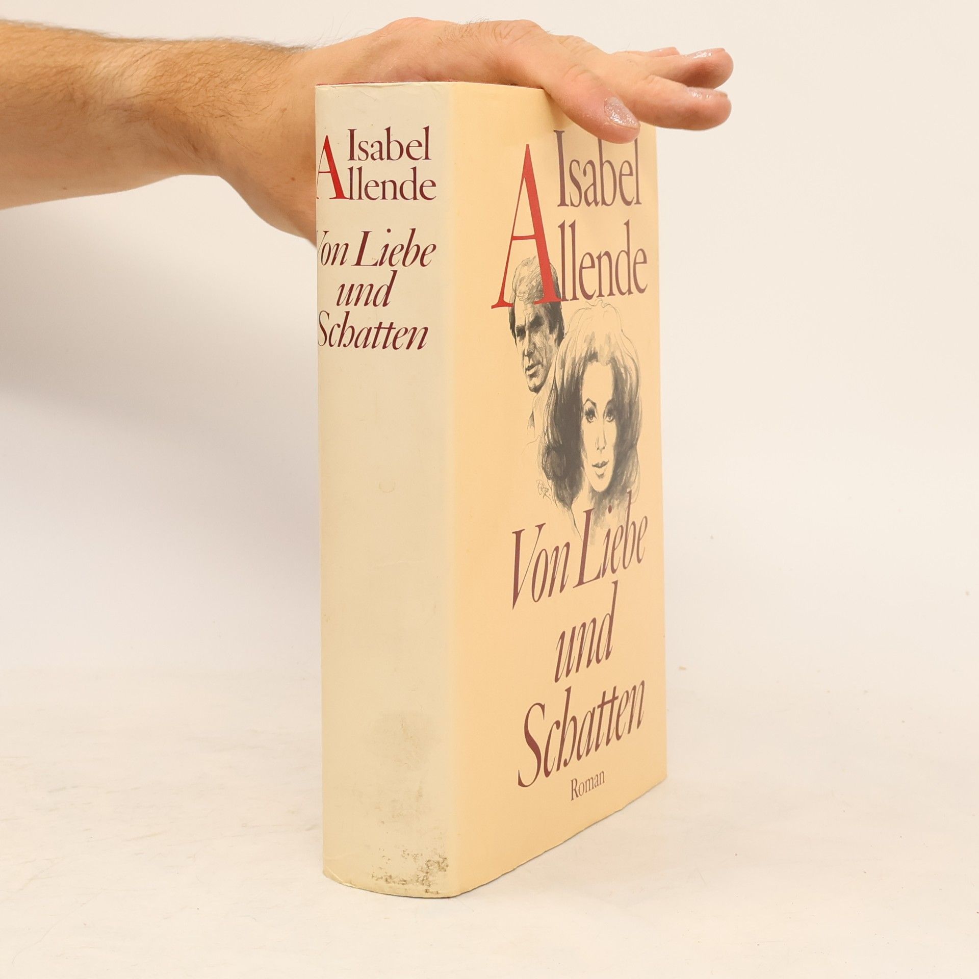 Isabel Allende Von Liebe und Schatten