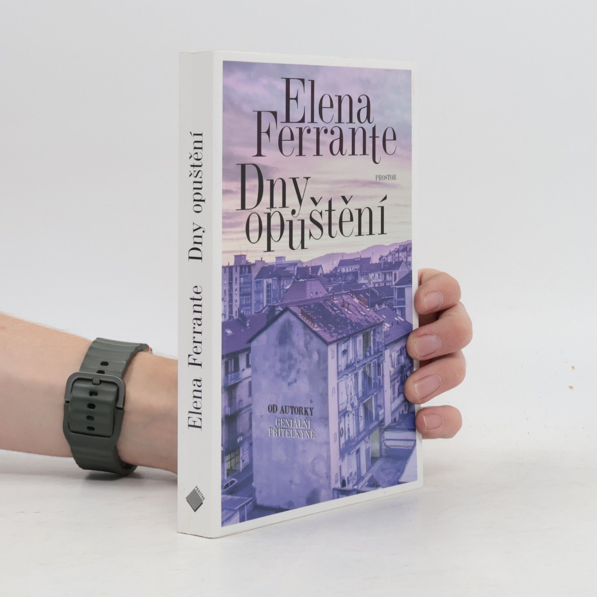 Elena Ferrante Dny opuštění