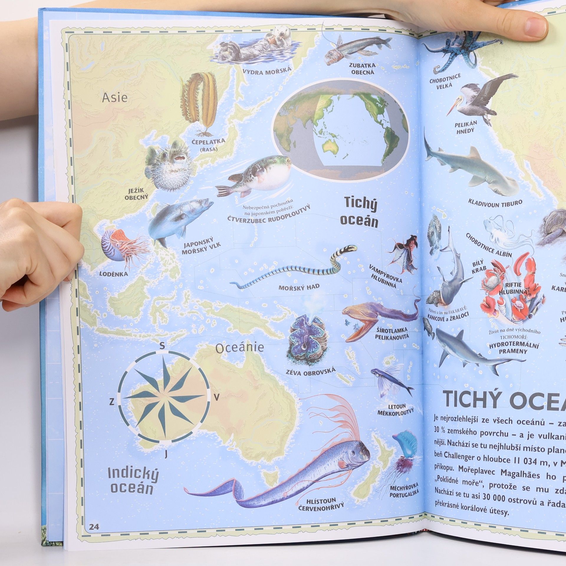 Lidia di Blasi Velký atlas oceánů : objevuj mořský svět