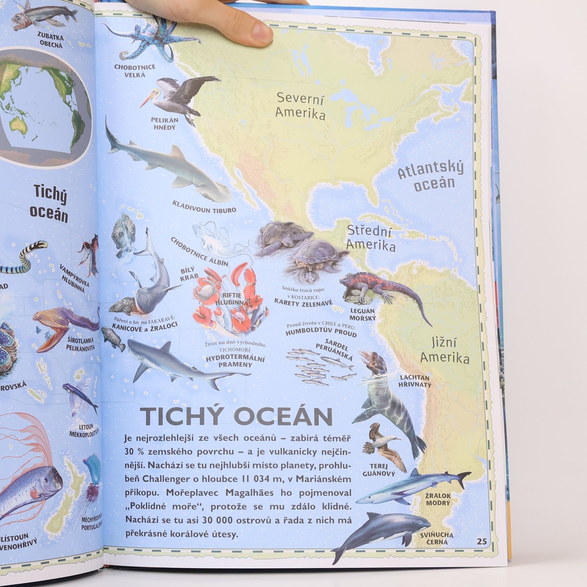 Lidia di Blasi Velký atlas oceánů : objevuj mořský svět
