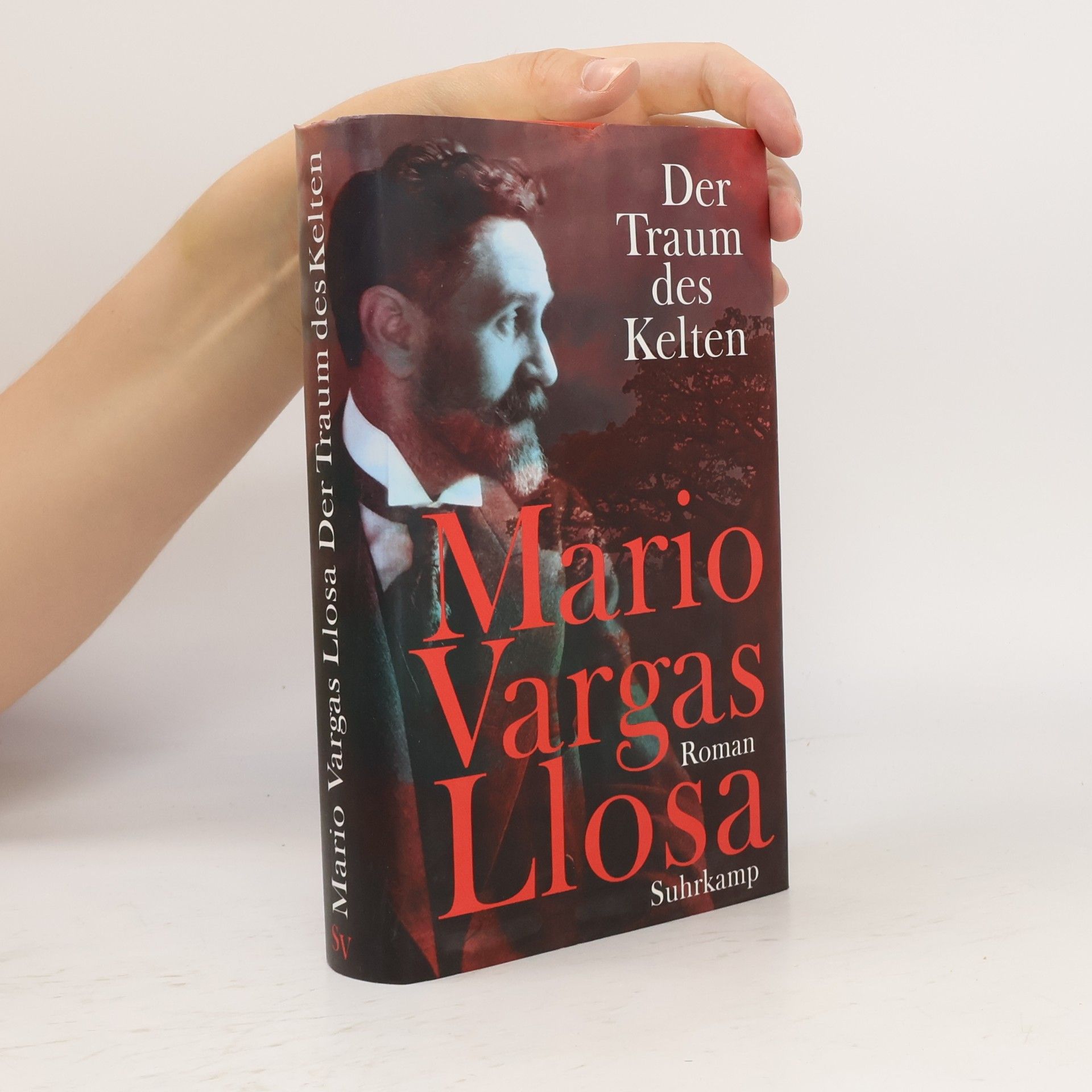Mario Vargas Llosa Der Traum des Kelten