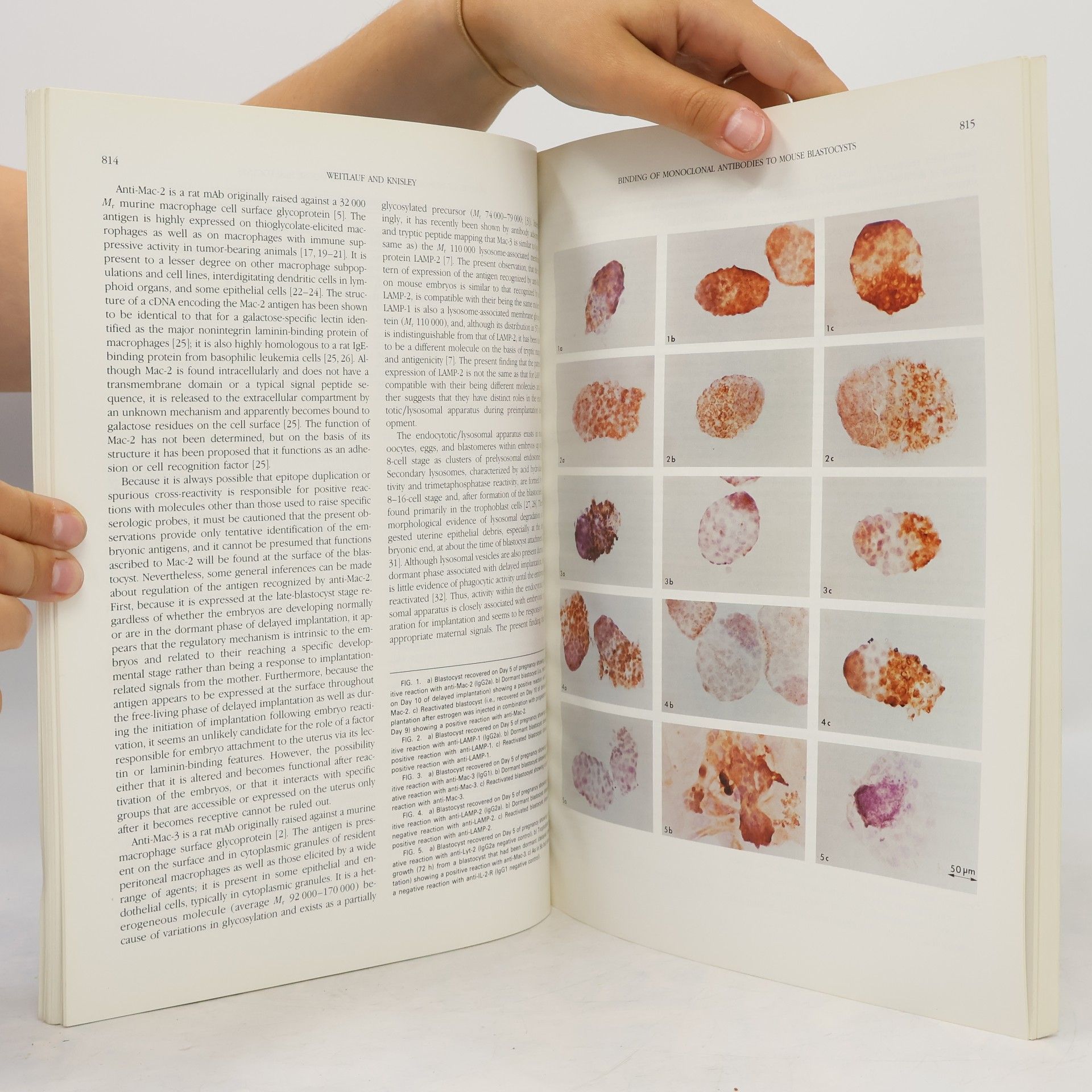 Various authors Biology of Reproduction