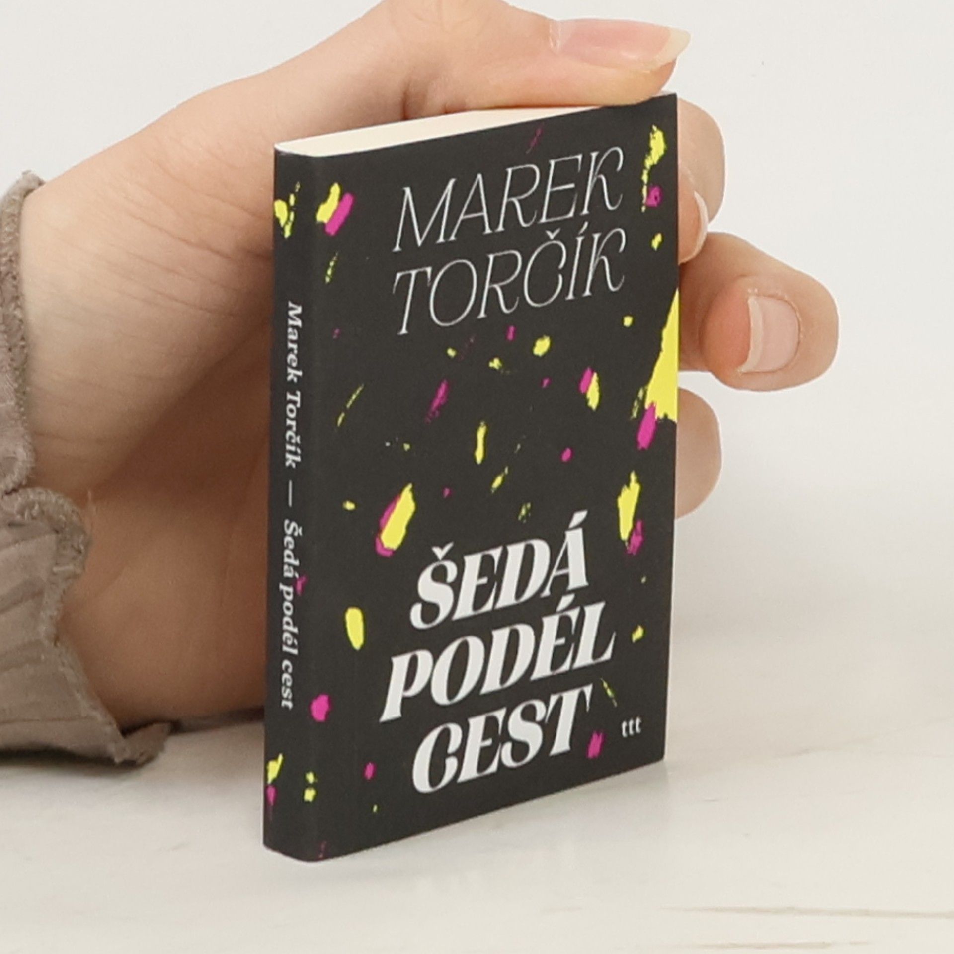 Marek Torčík Šedá podél cest