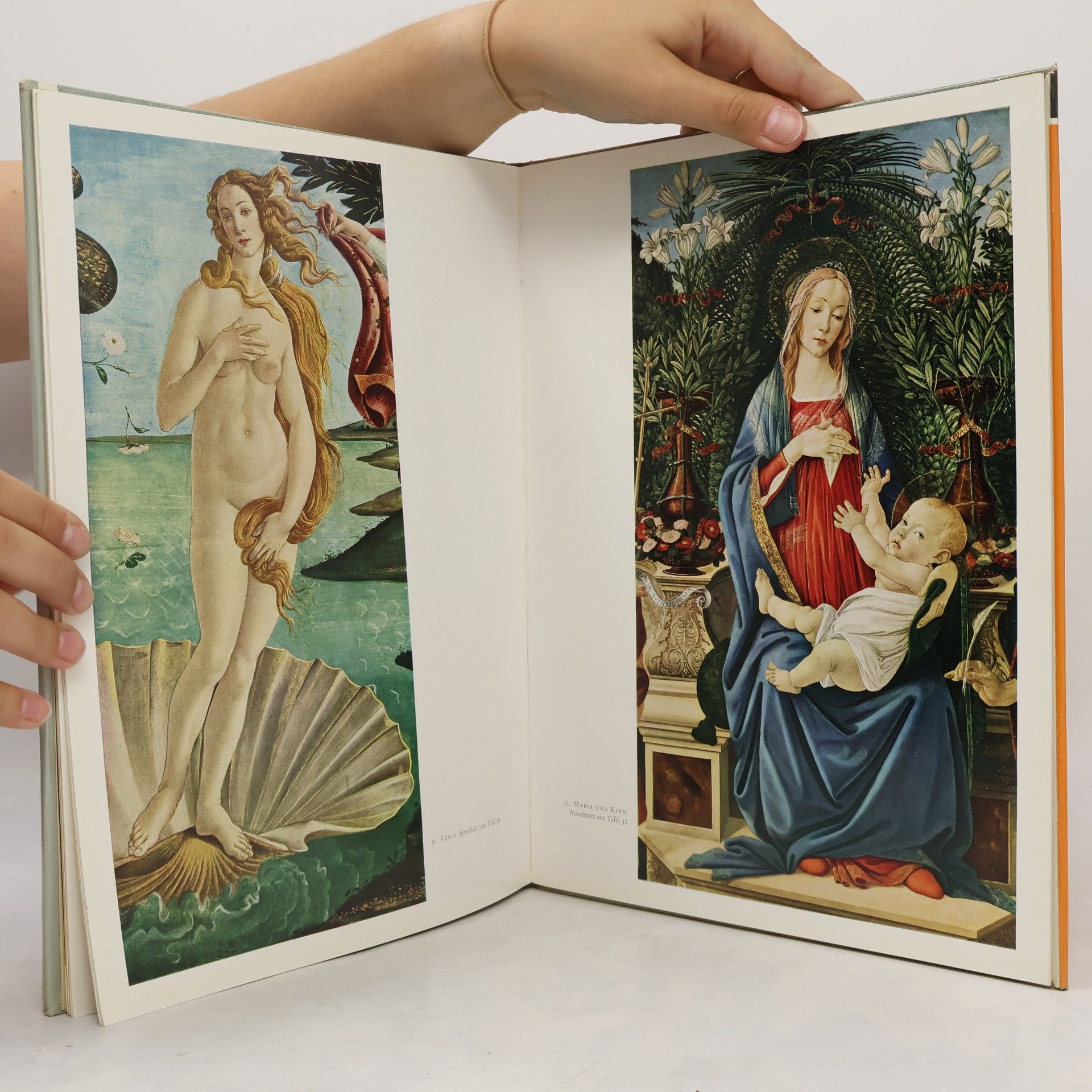 Autorenkollektiv Botticelli in Farben