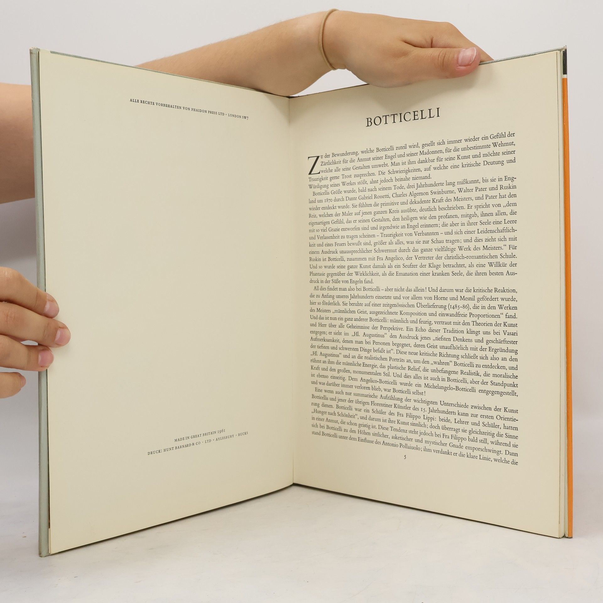 Autorenkollektiv Botticelli in Farben