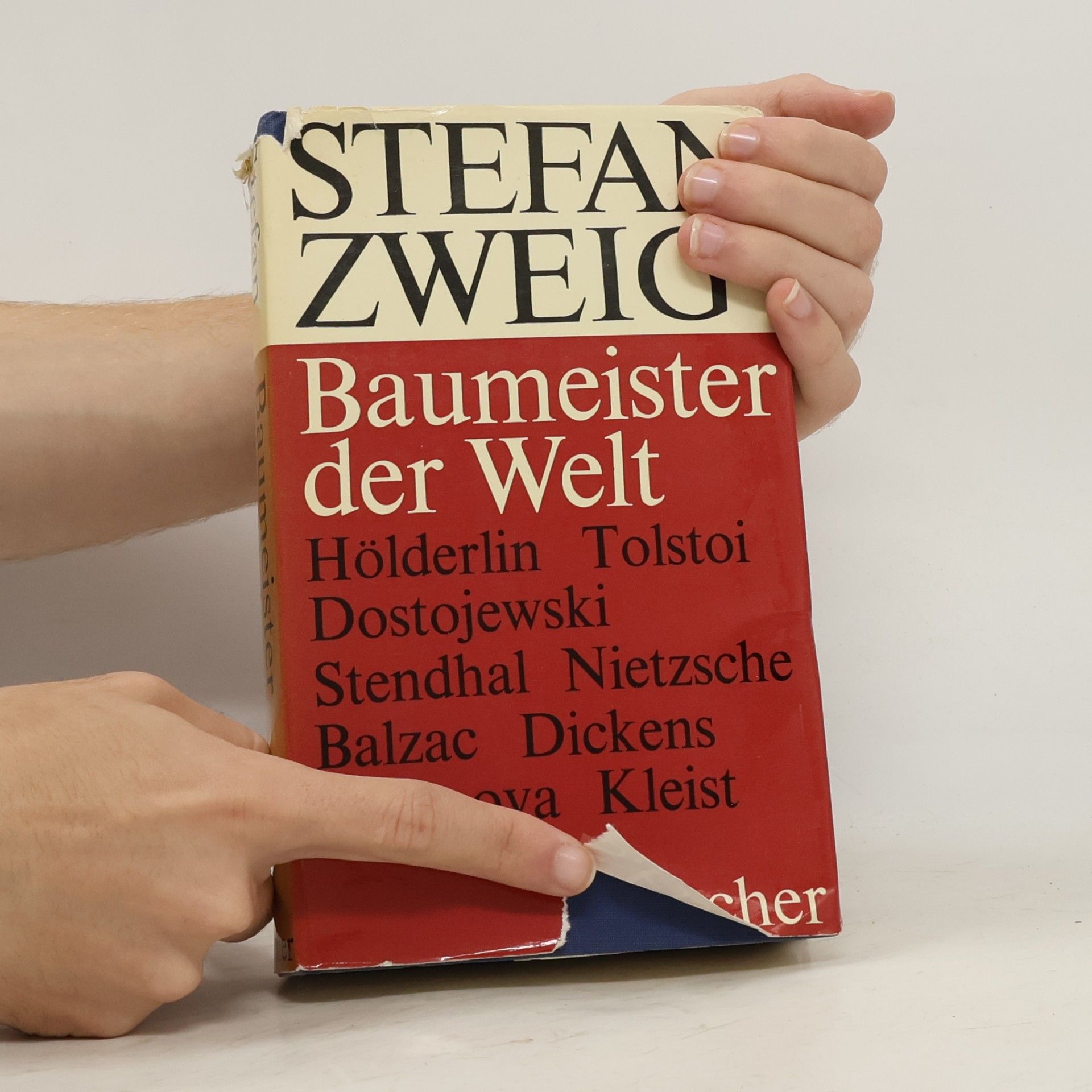 Stefan Zweig Baumeister der Welt