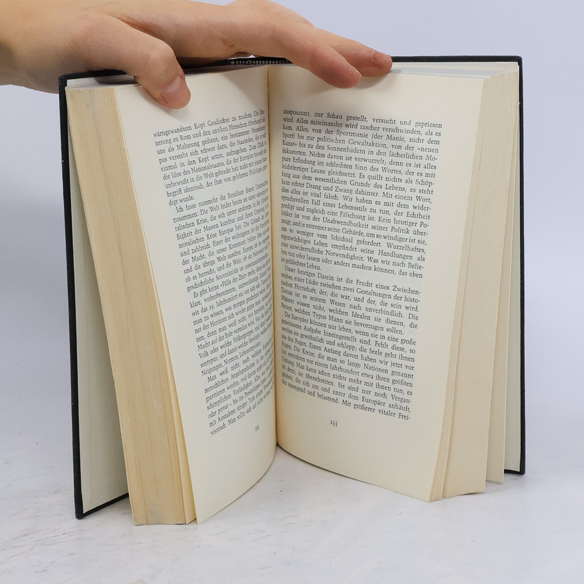 José Ortega y Gasset Der Aufstand der Massen