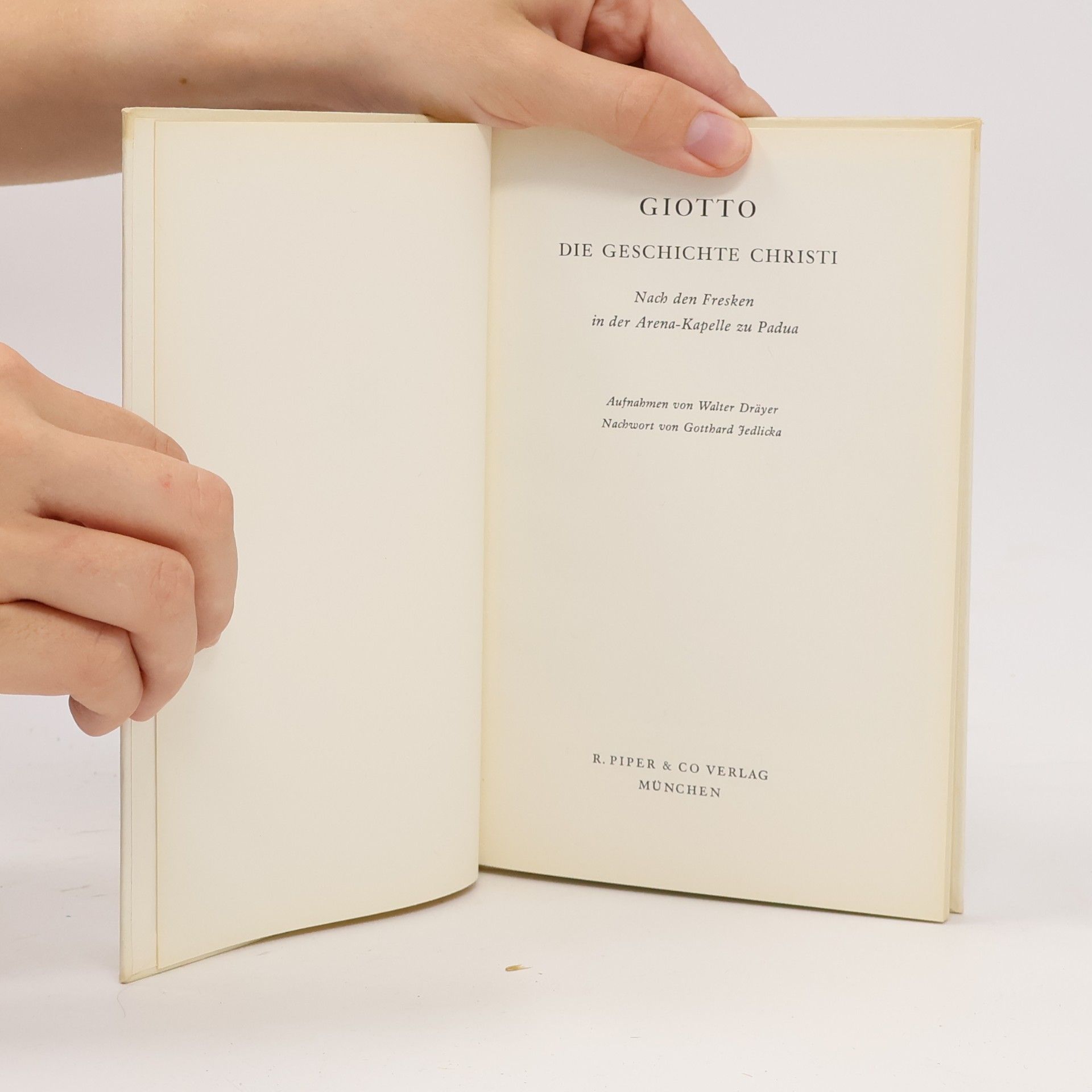 Giotto Die Geschichte Christi
