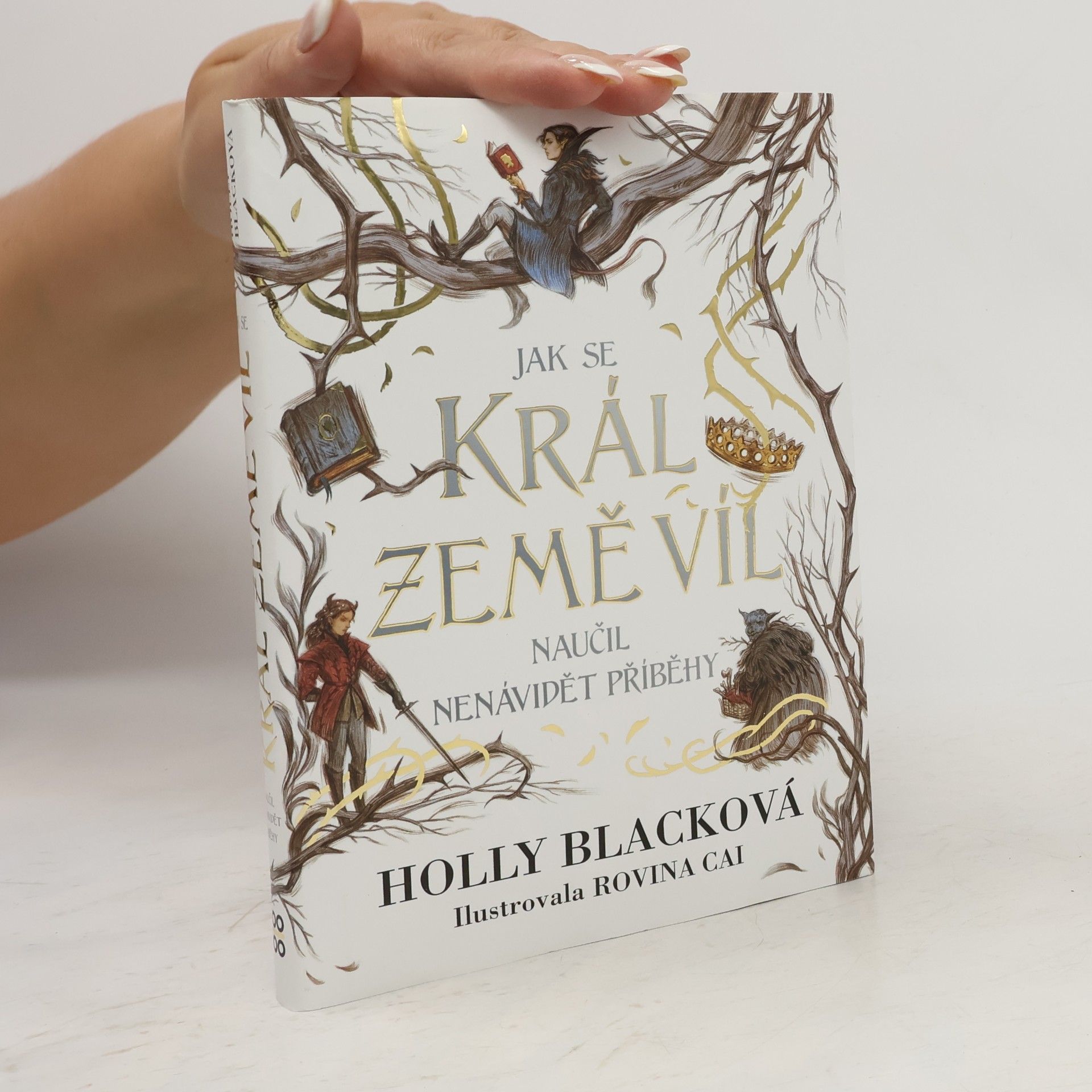 Holly Black Jak se král Země víl naučil nenávidět příběhy