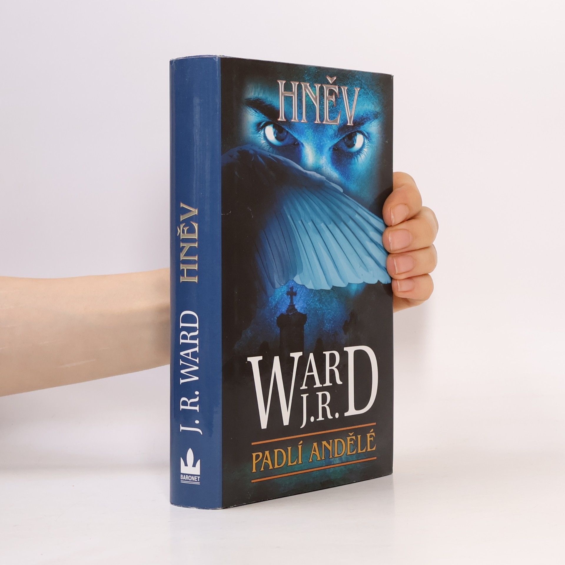 John Ward Hněv. Padlí andělé. 4. díl