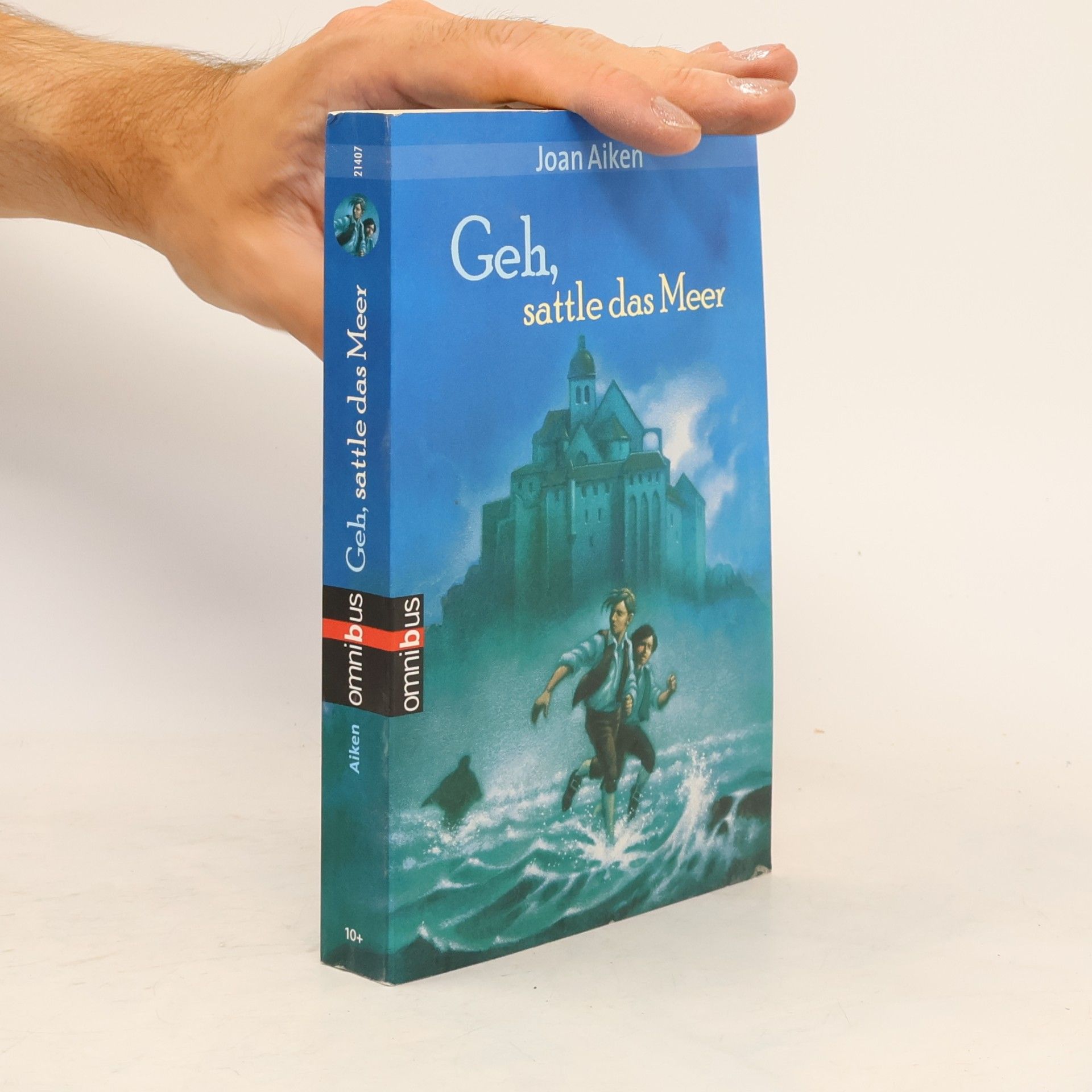Joan Aiken Geh, sattle das Meer