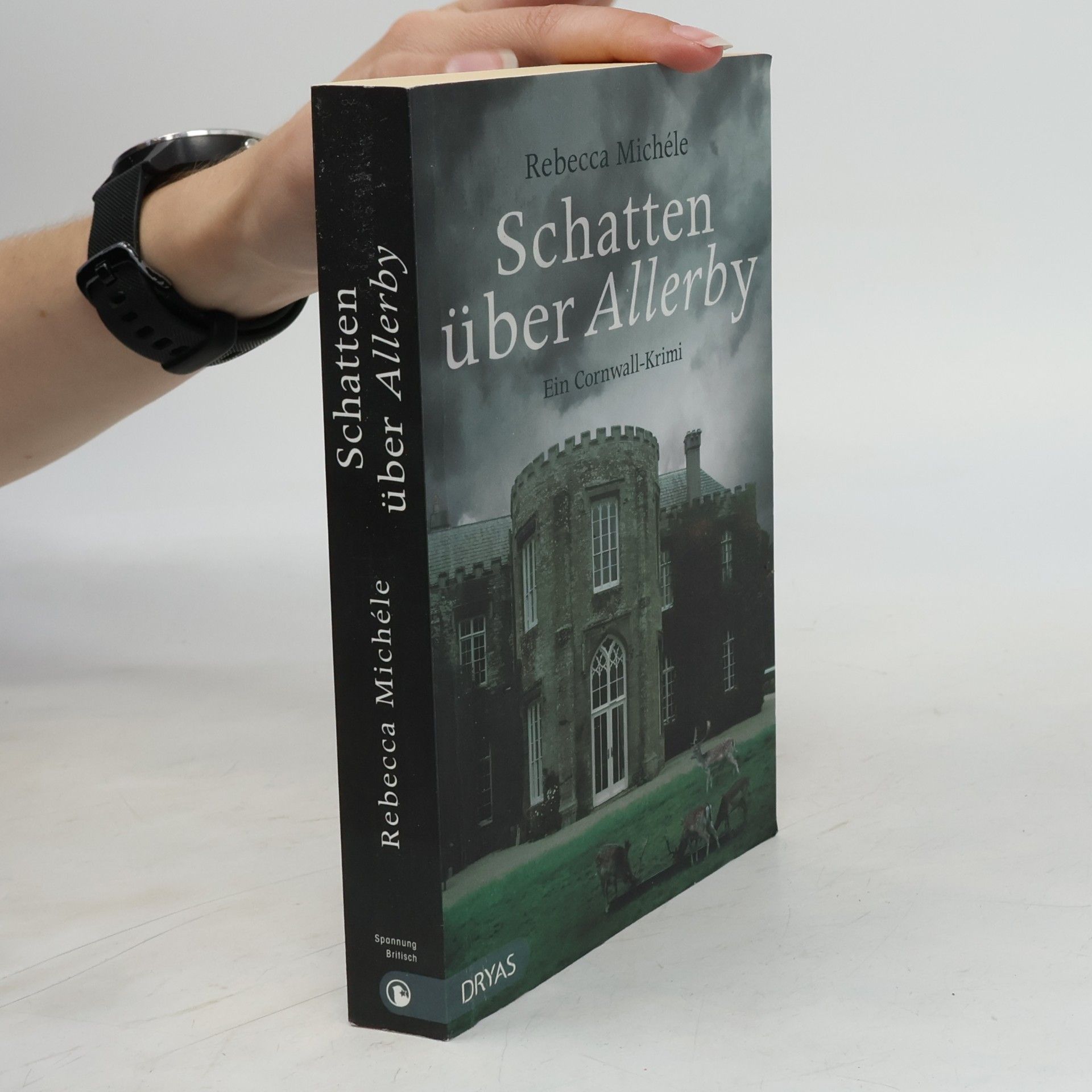 Rebecca Michéle Schatten über Allerby