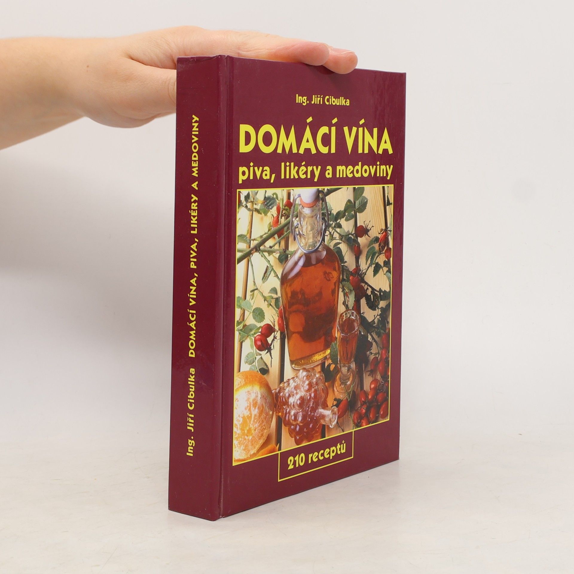 Jiří Cibulka Domácí vína: Piva, likéry a medoviny