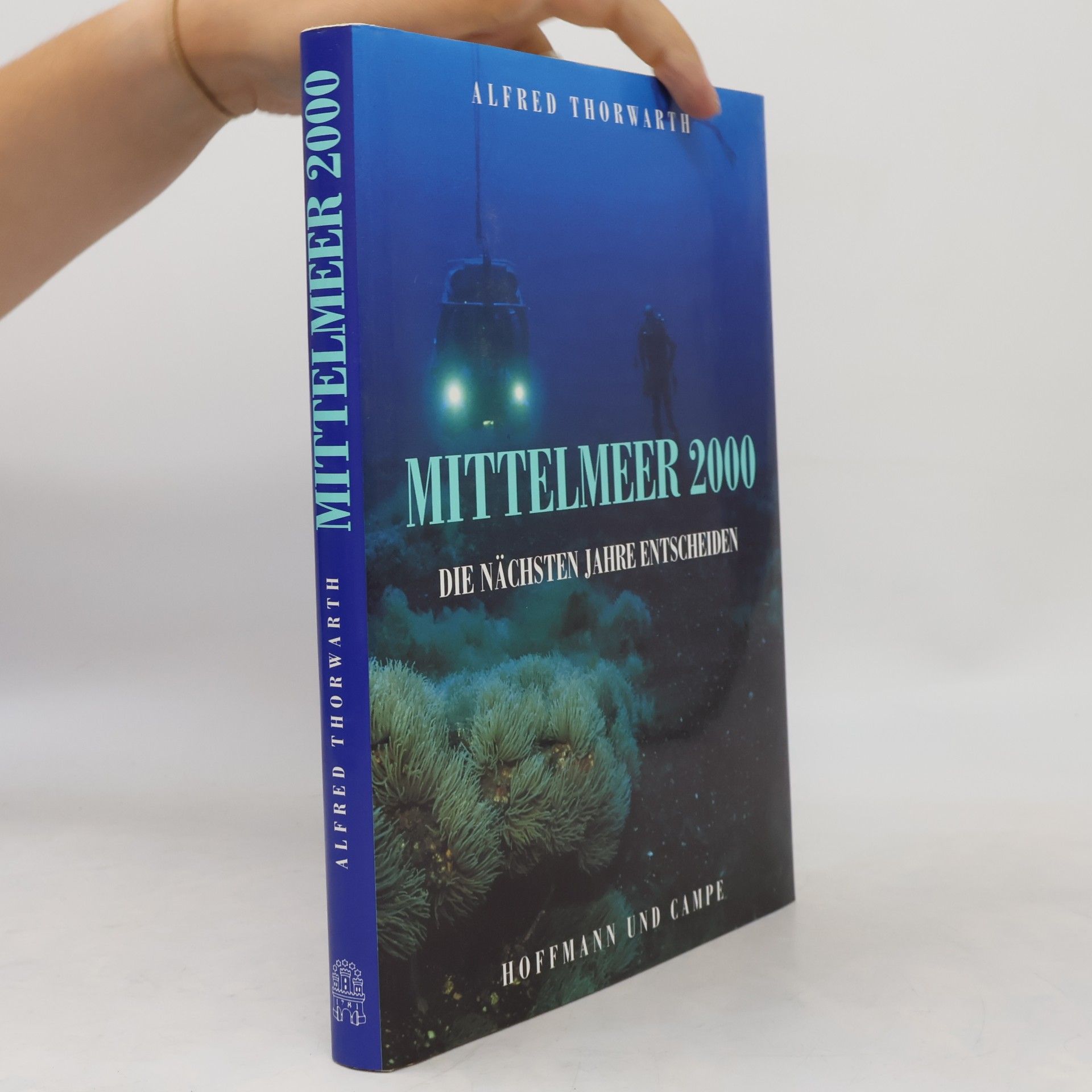 Alfred Thorwarth Mittelmeer 2000
