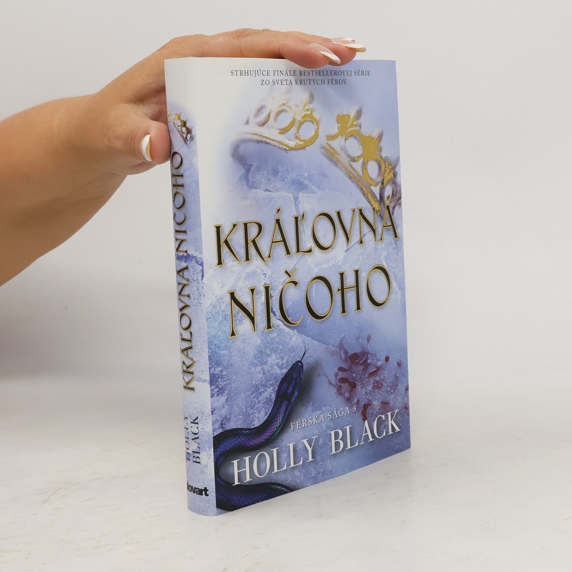Holly Black Kráľovná ničoho