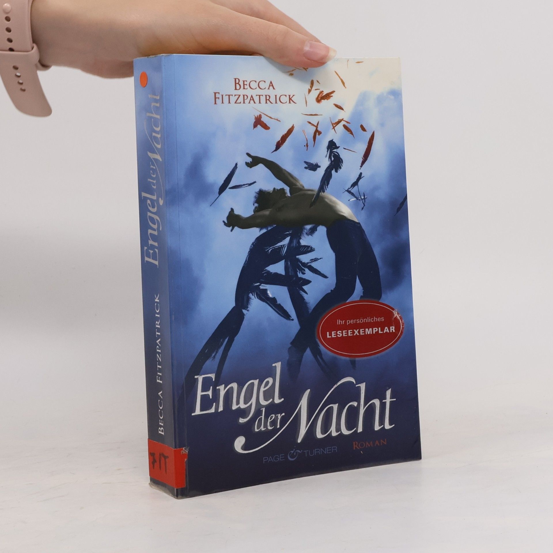 Becca Fitzpatrick Engel der Nacht