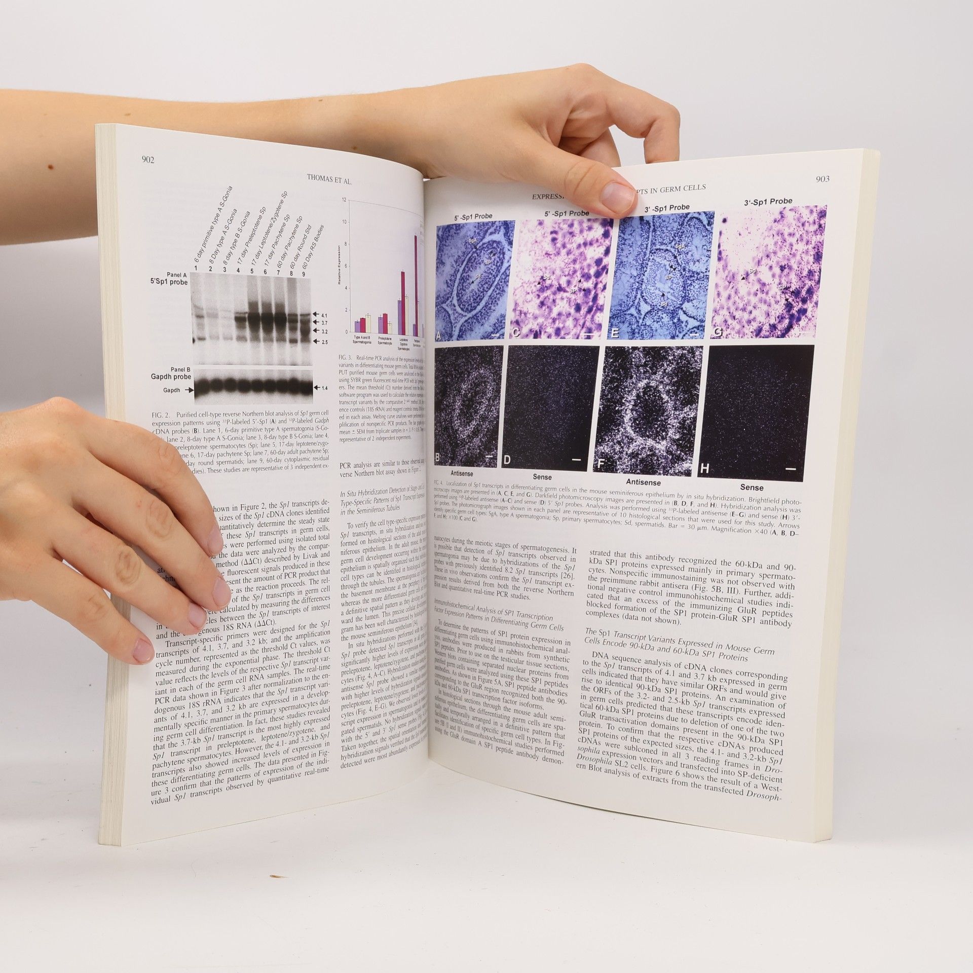 Autores varios Biology of Reproduction 72/2005. Number 4