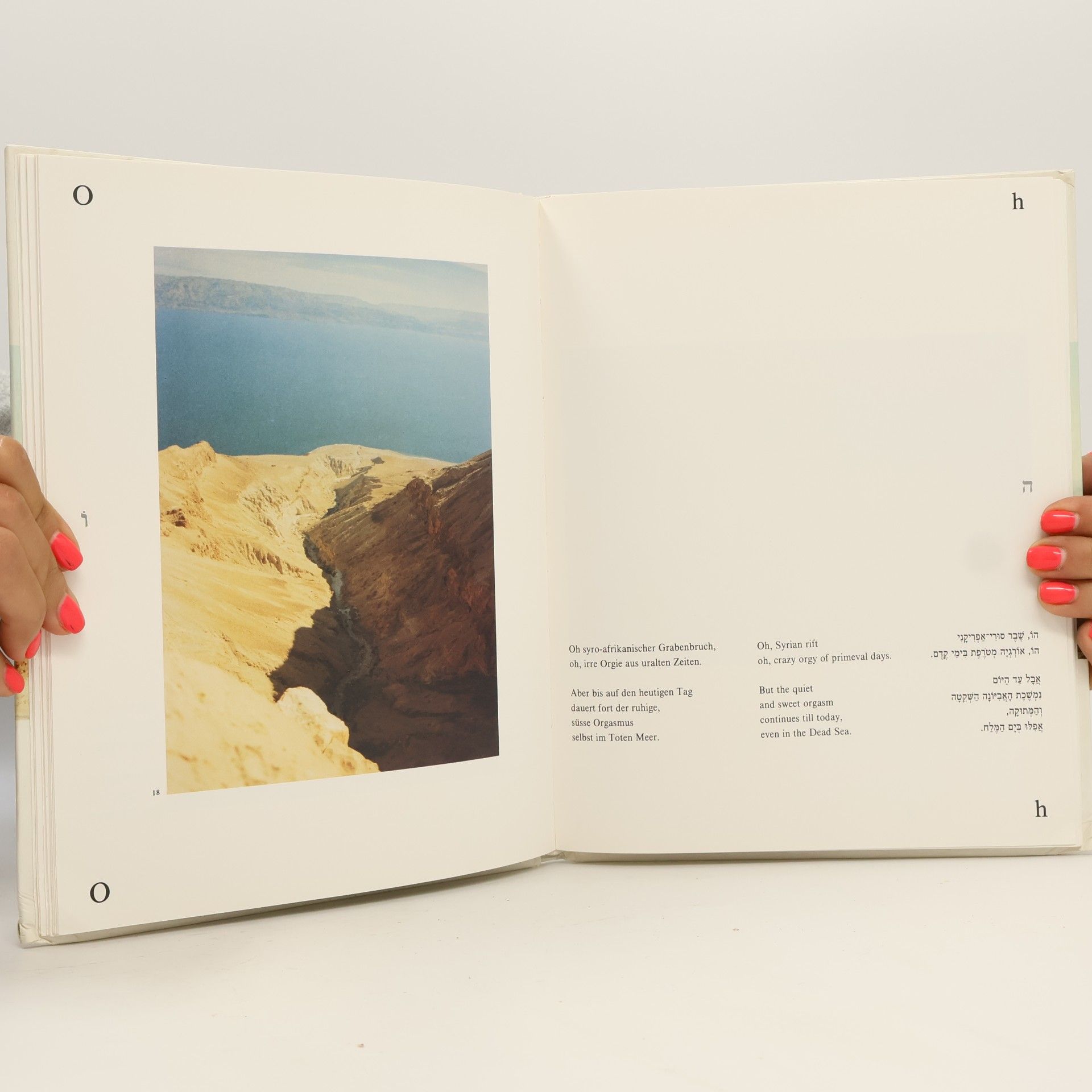 Yehuda Amichai Landschaft Offenen Auges. Open Eyed Land