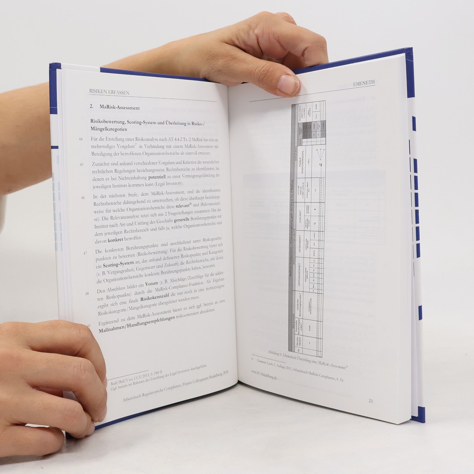 Martin Daumann Arbeitsbuch regulatorische Compliance