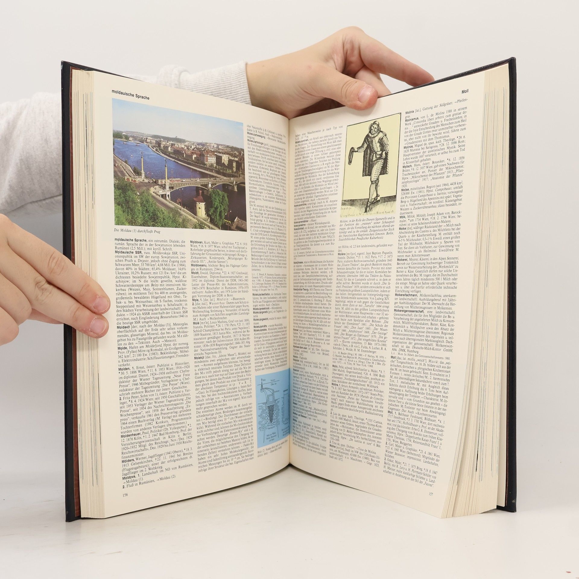Autorenkollektiv Die grosse Bertelsmann Lexikothek. Mazu-Noa, Bd. 10