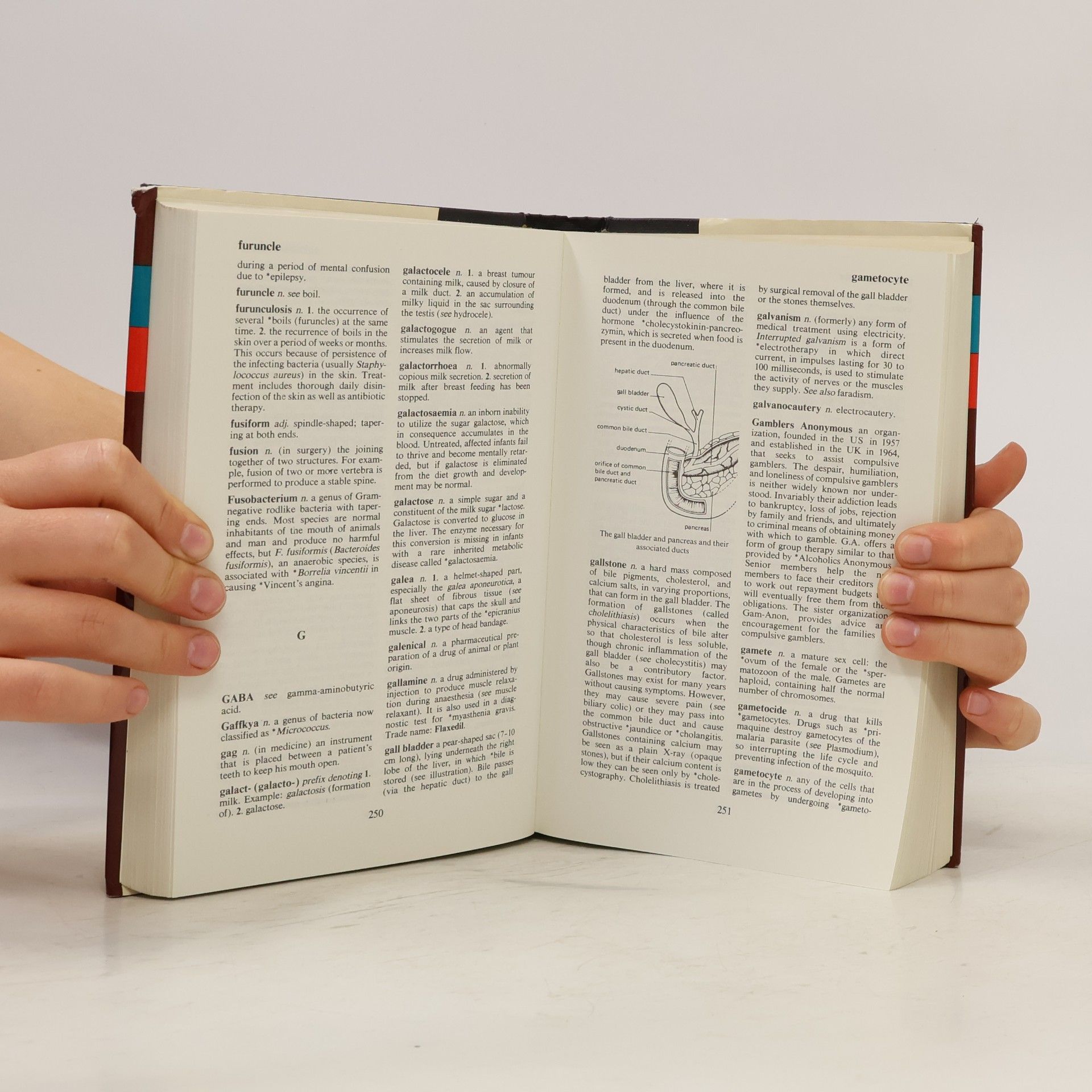 E. A. Martin Concise Medical Dictionary