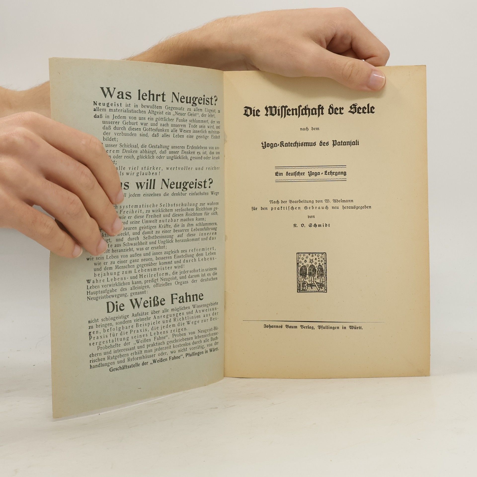 Karl Schmidt Die Wissenschaft der Seele