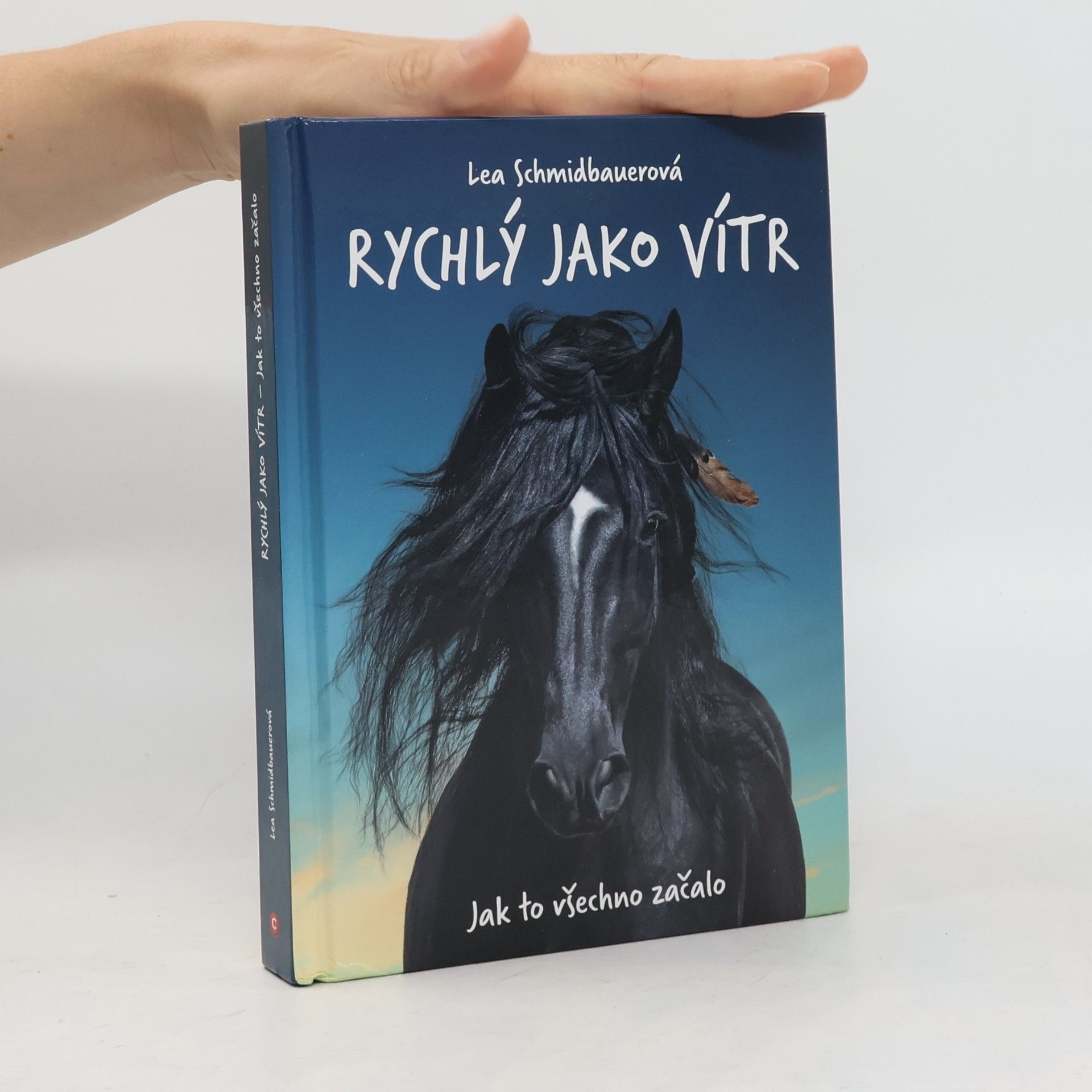 Jak to všechno začalo