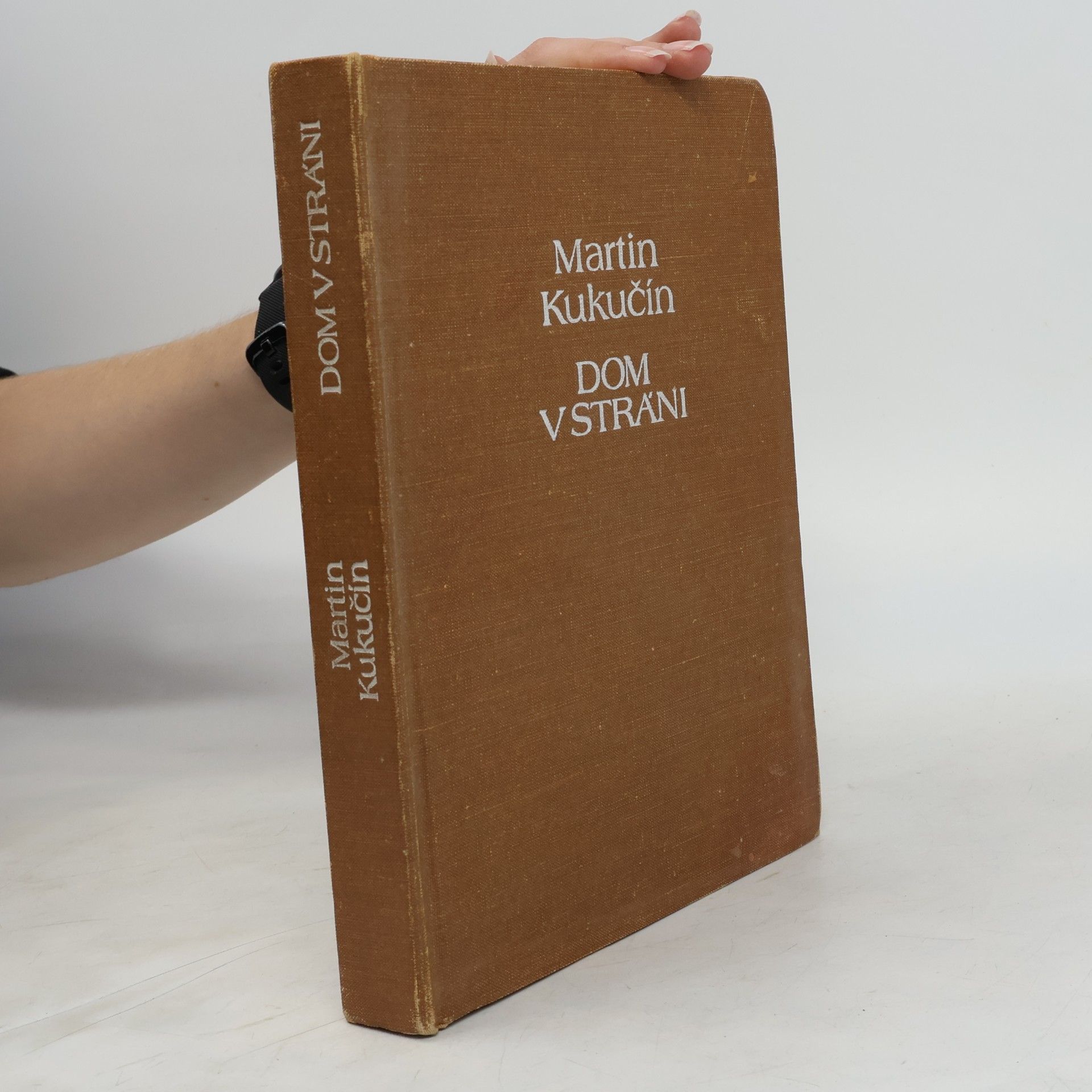 Martin Kukučín Dom v stráni