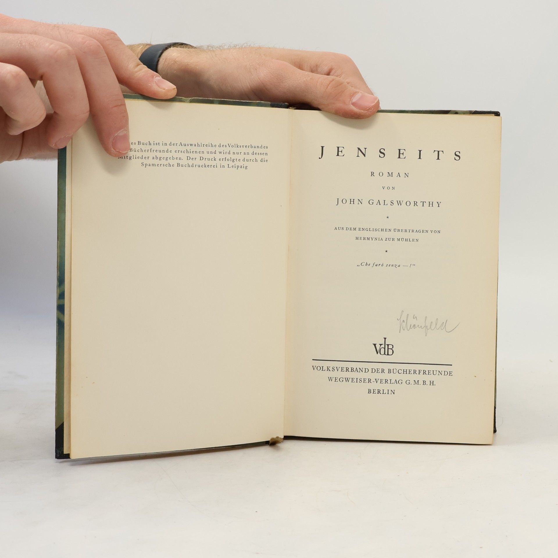 John Galsworthy Jenseits
