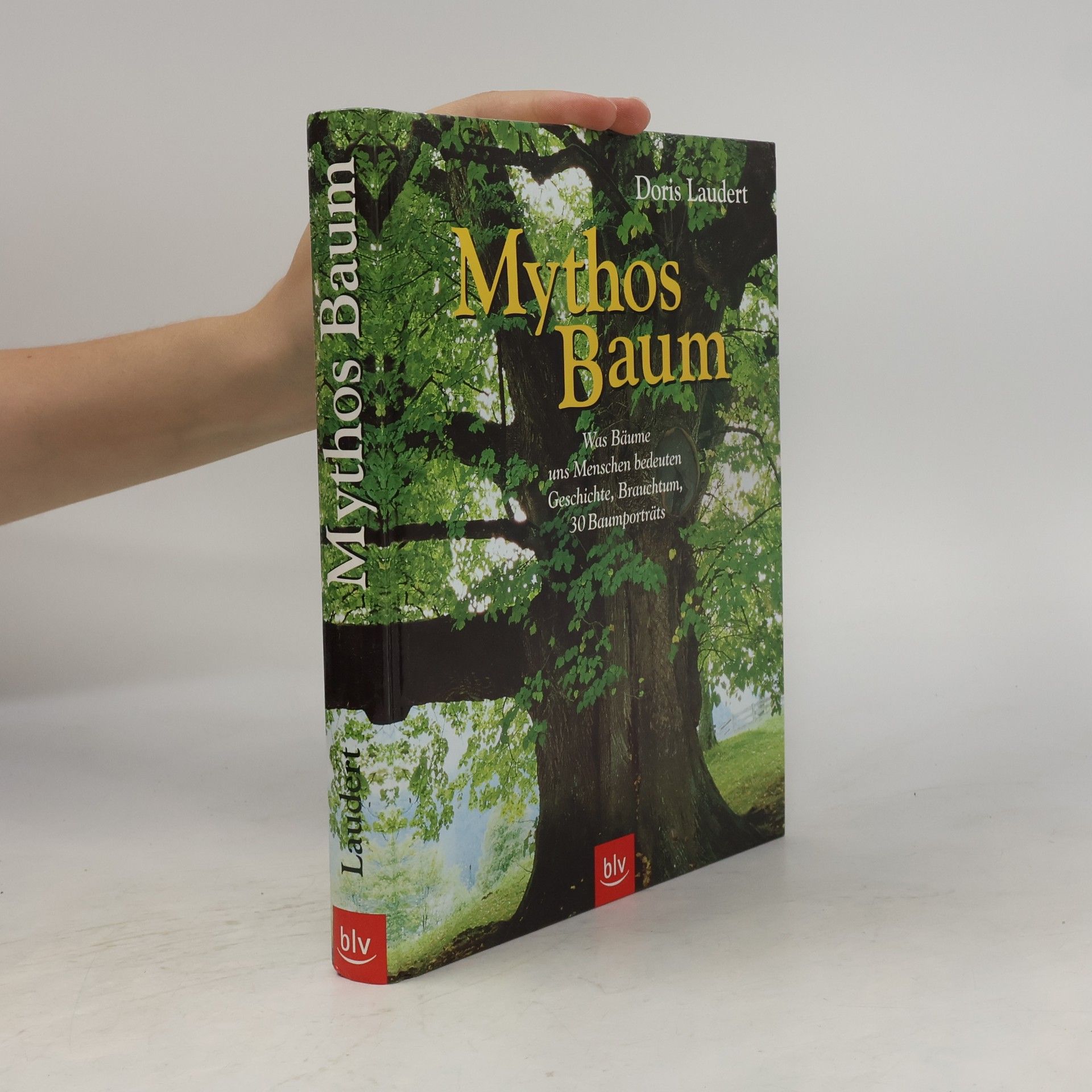 Doris Laudert Mythos Baum