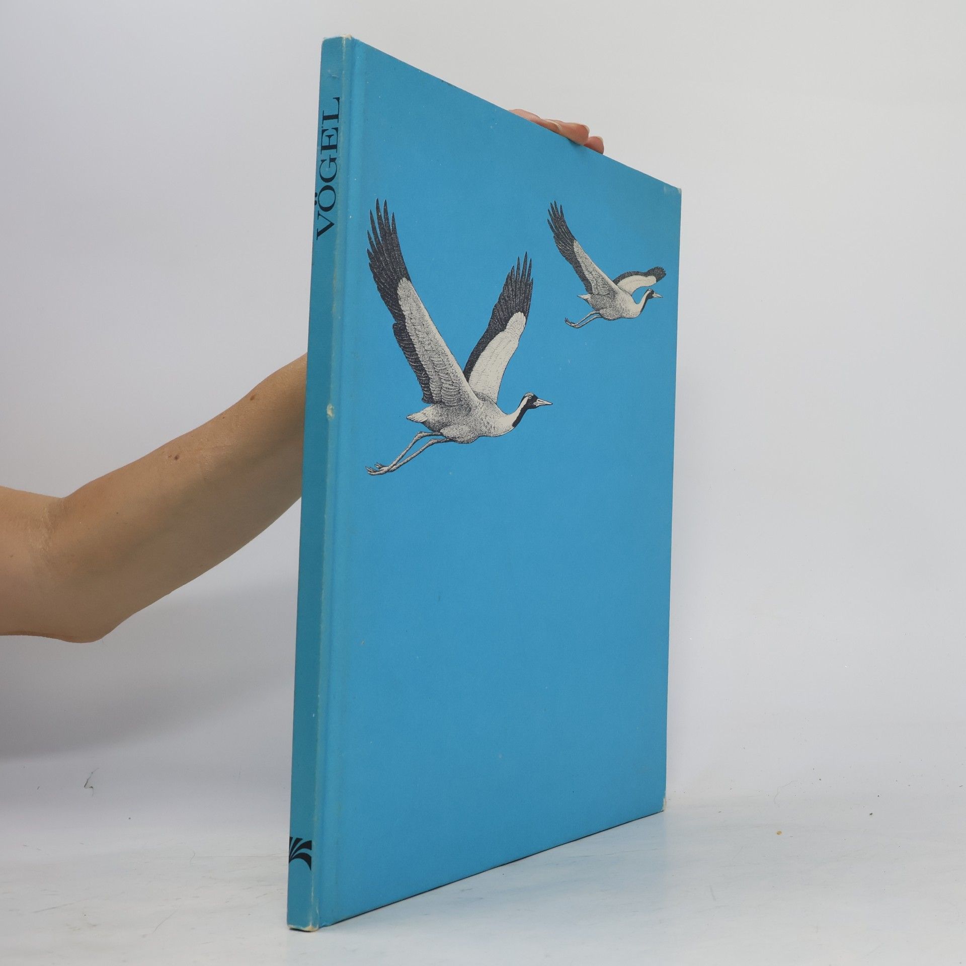 Collectif d'auteurs Vogel