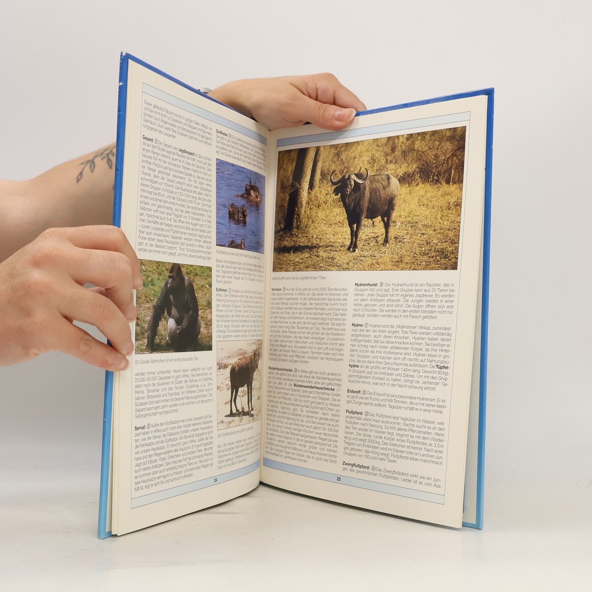 Autorenkollektiv Tieratlas