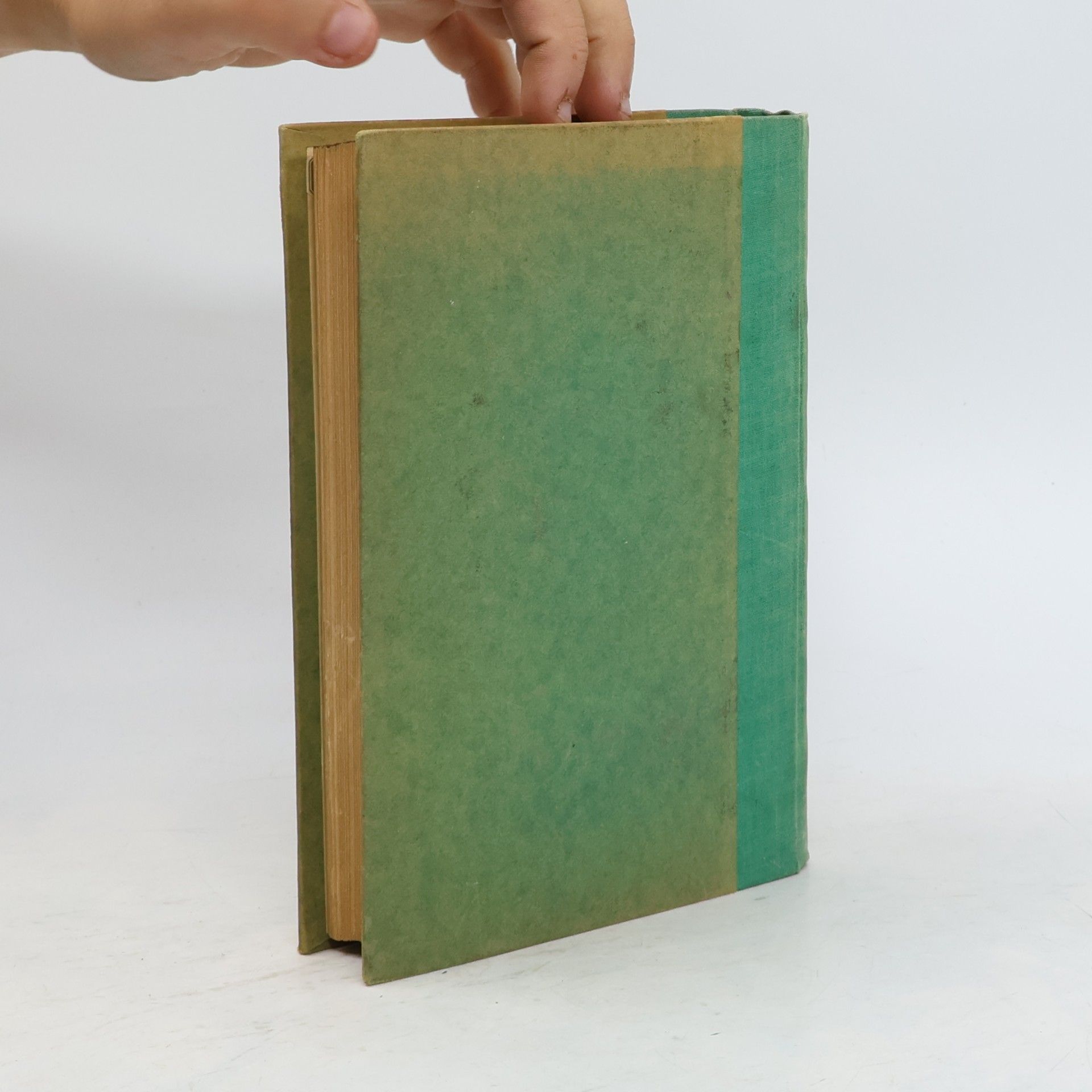 Thea von Harbou Das Nibelungenbuch