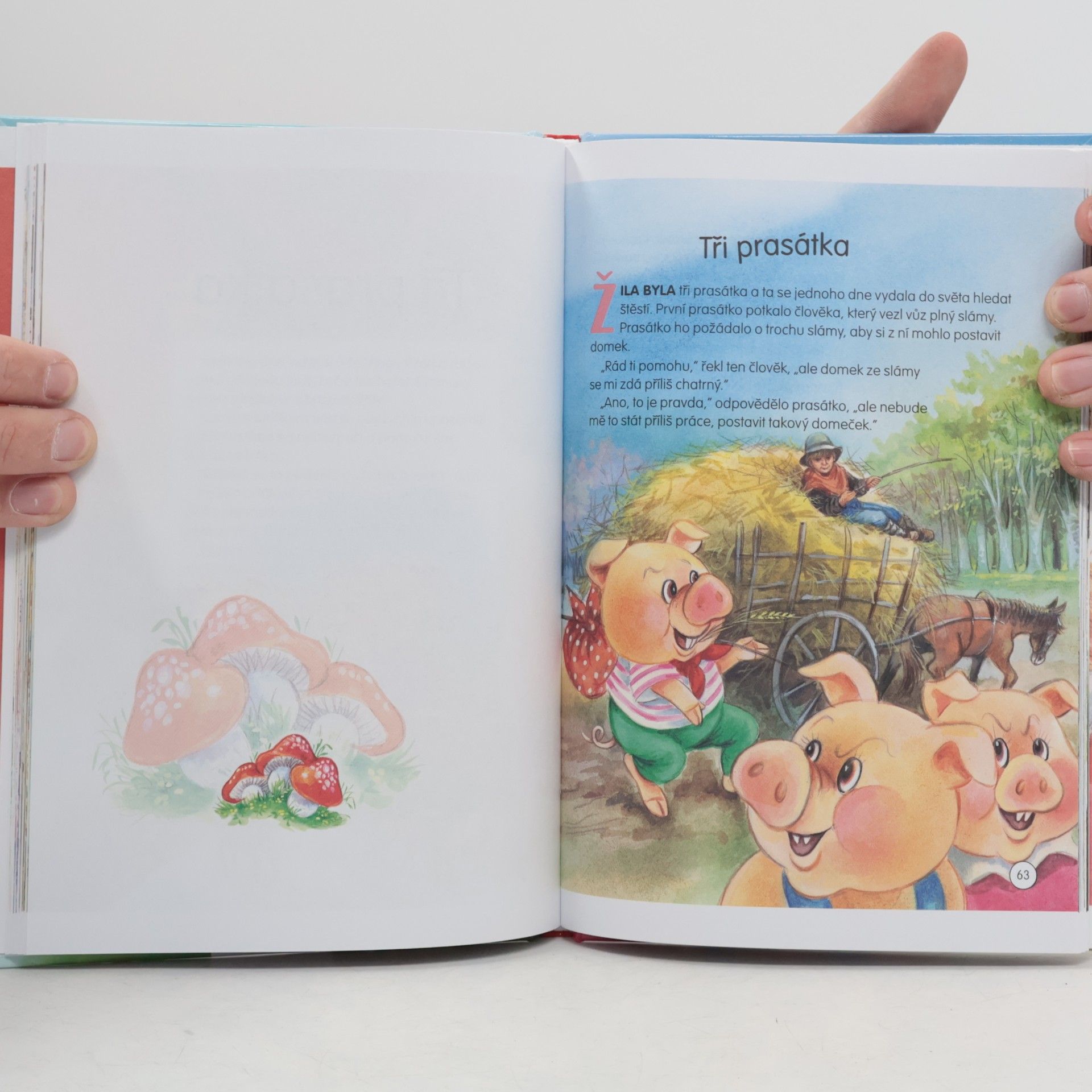 Various authors O zvířátkách. První čtení s velkými písmenky