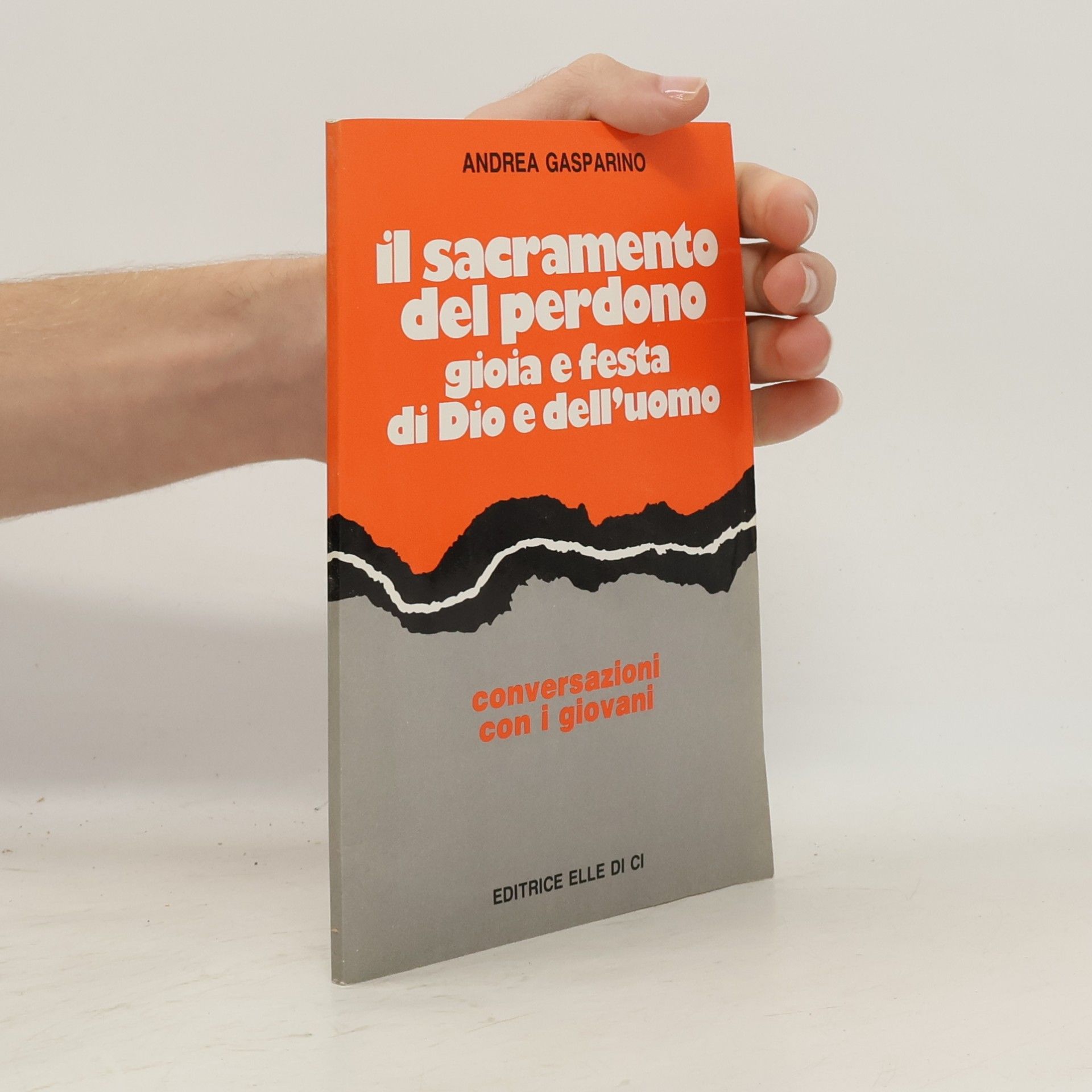 Il Sacramento del perdono. Gioia e festa di Dio e dell'uomo. Conversazioni con i giovani