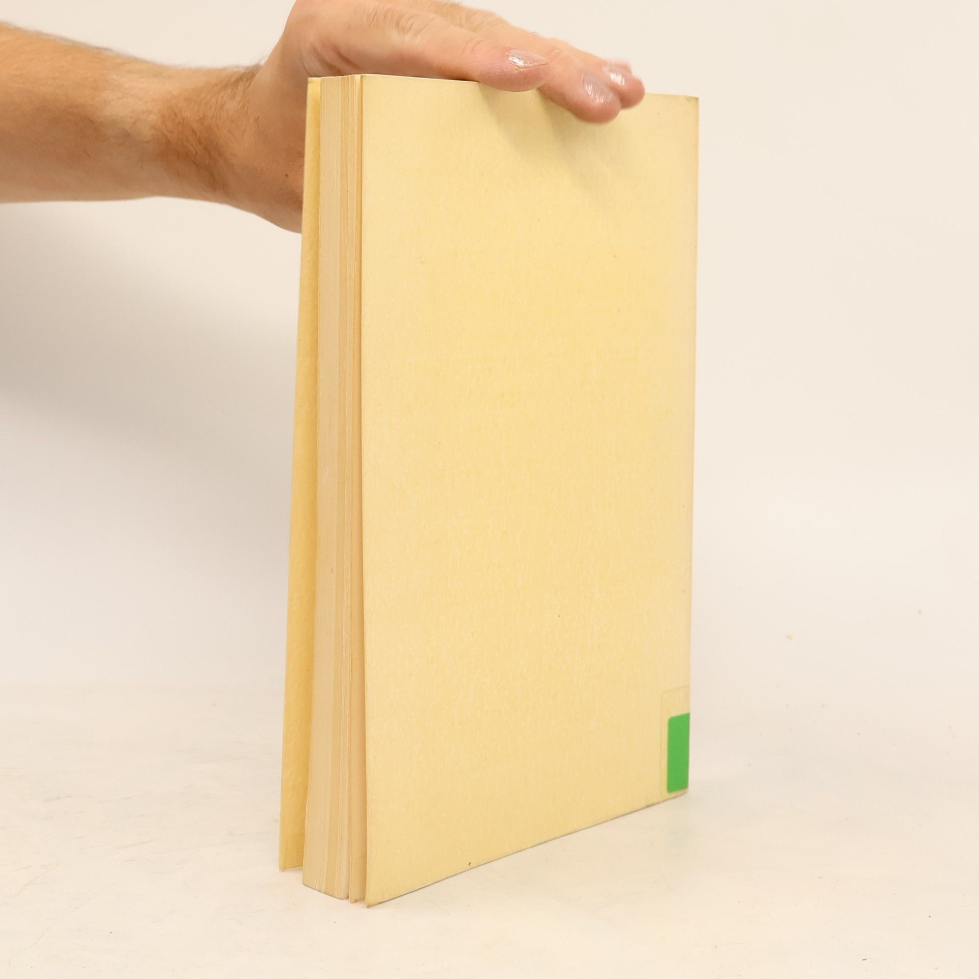 Steffen-Thomas Ehrig Volkswirtschaftliche Schriften - 200: Devisentermingeschäfte als Instrument der Währungspolitik