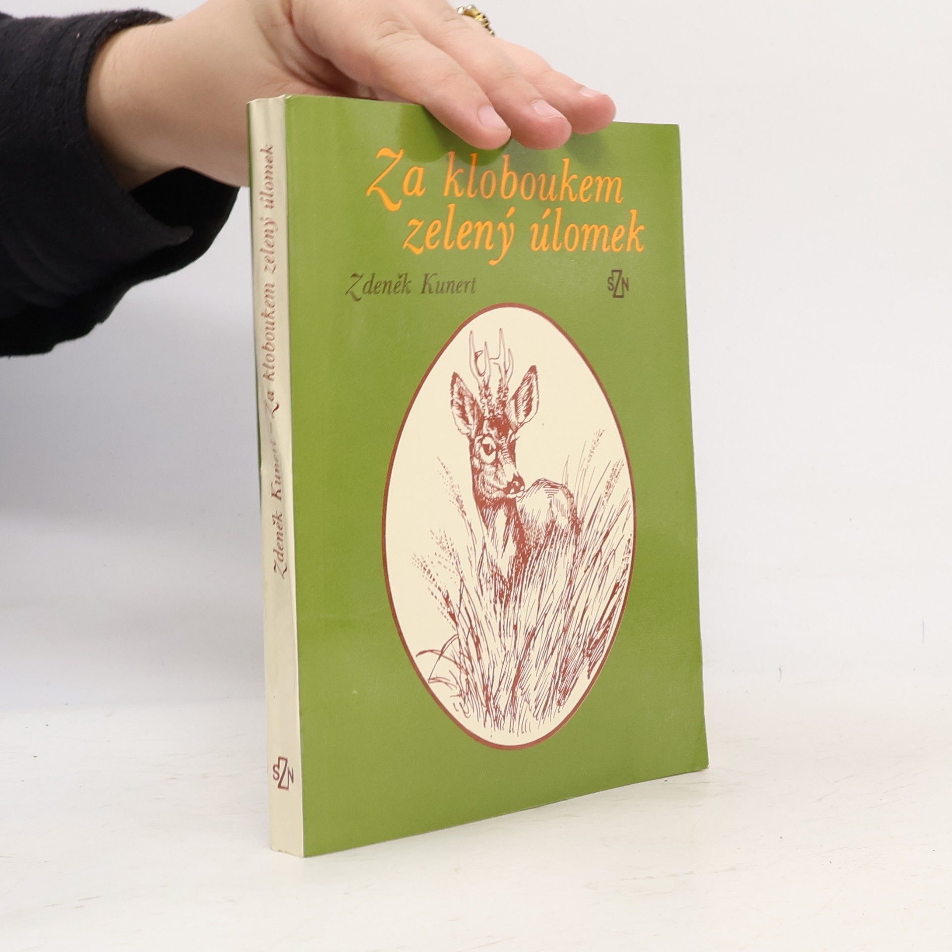 Za kloboukem zelený úlomek
