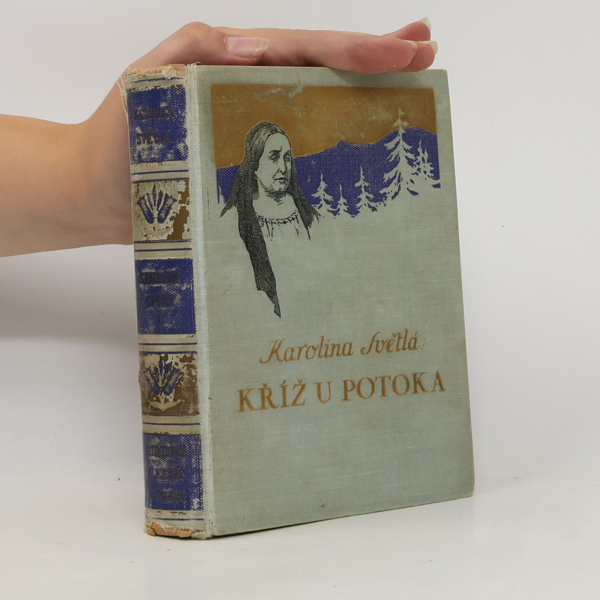 Karolina Světlá Kříž u potoka