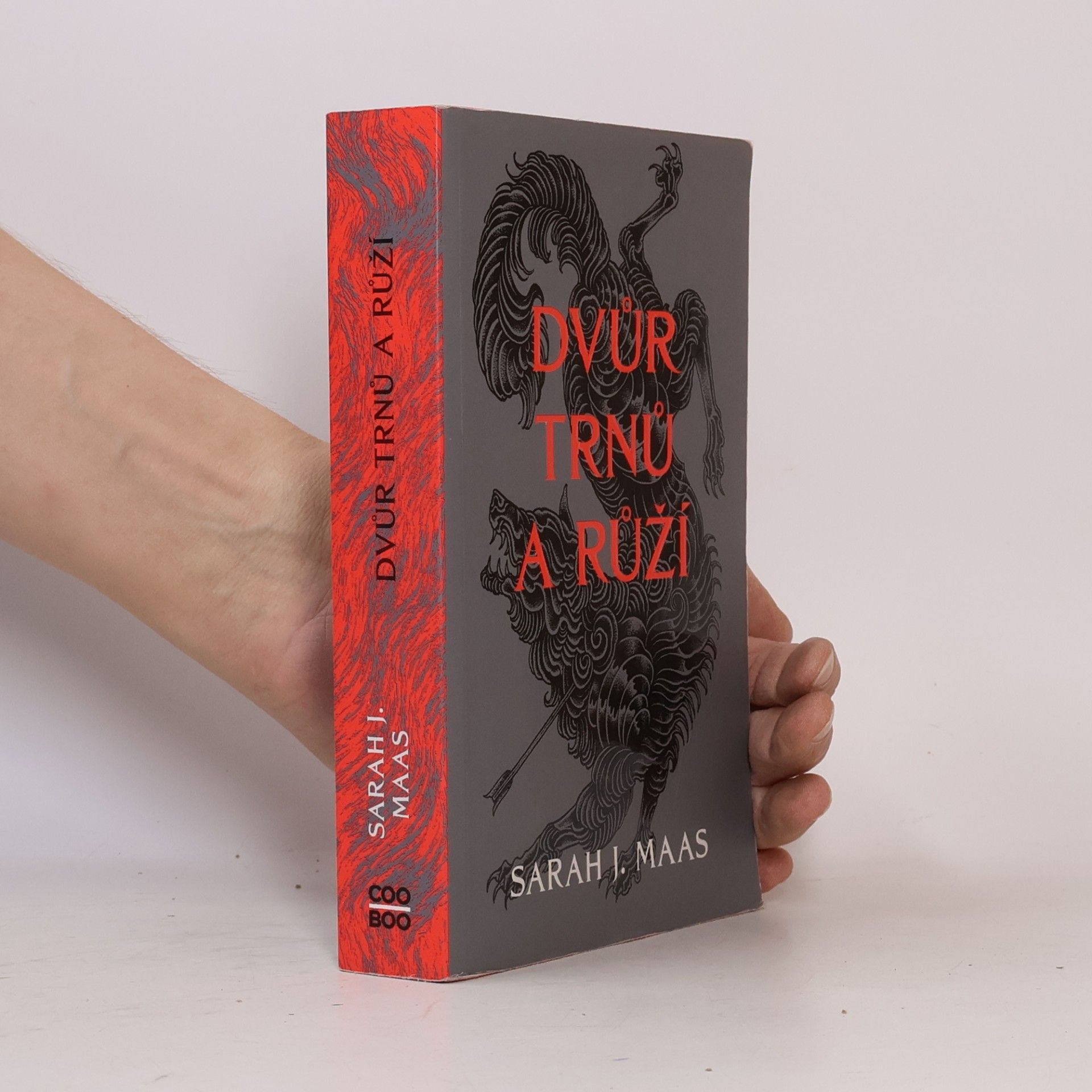 Sarah J. Maas Dvůr trnů a růží